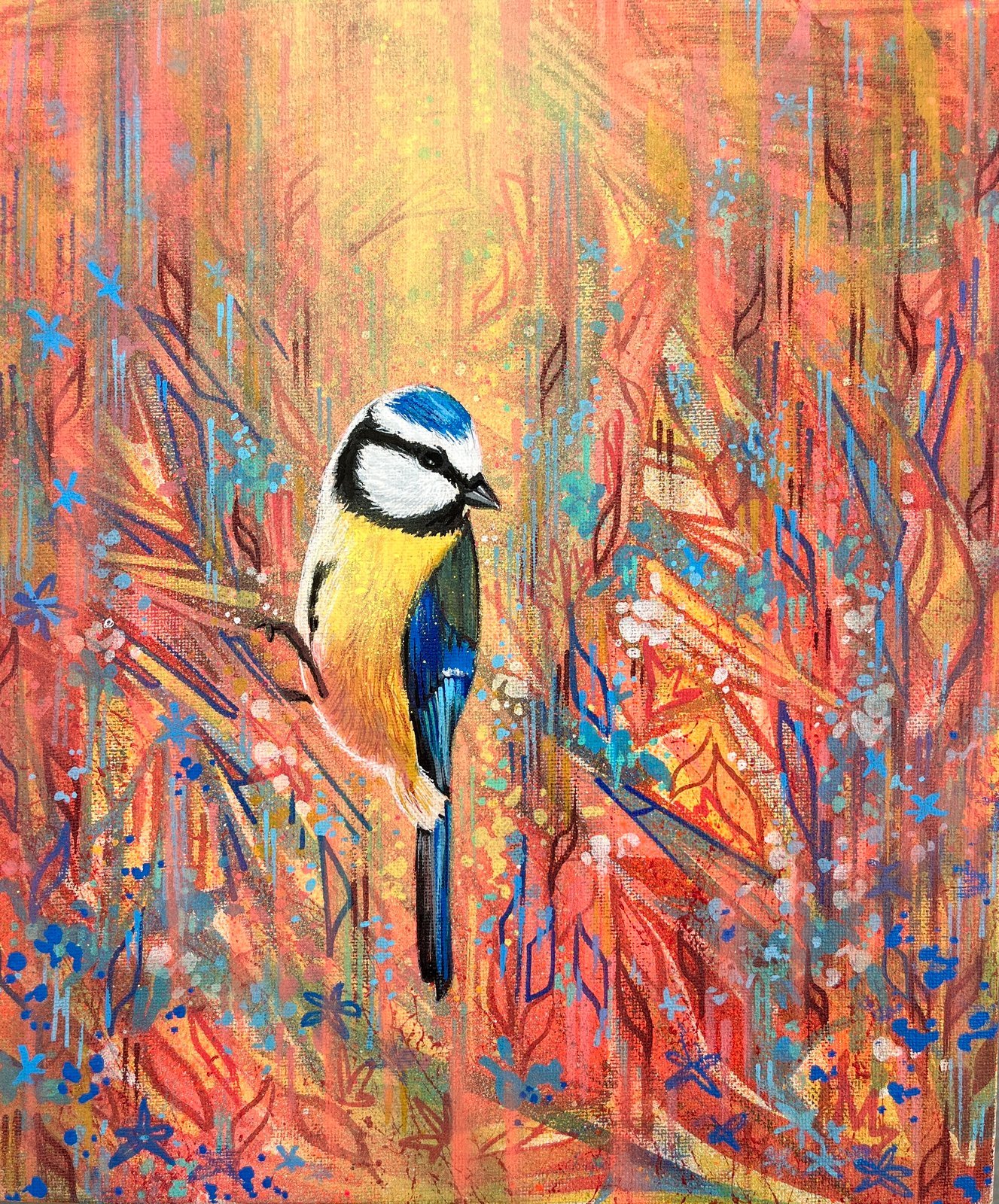 blue-tit.jpg