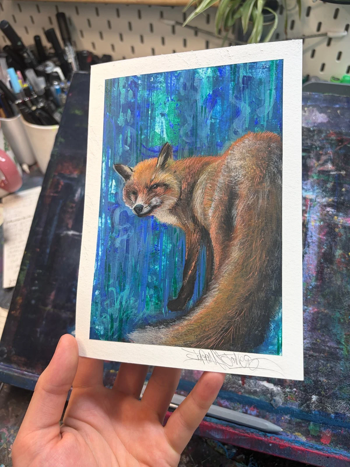 one-eyed-fox-study.jpg