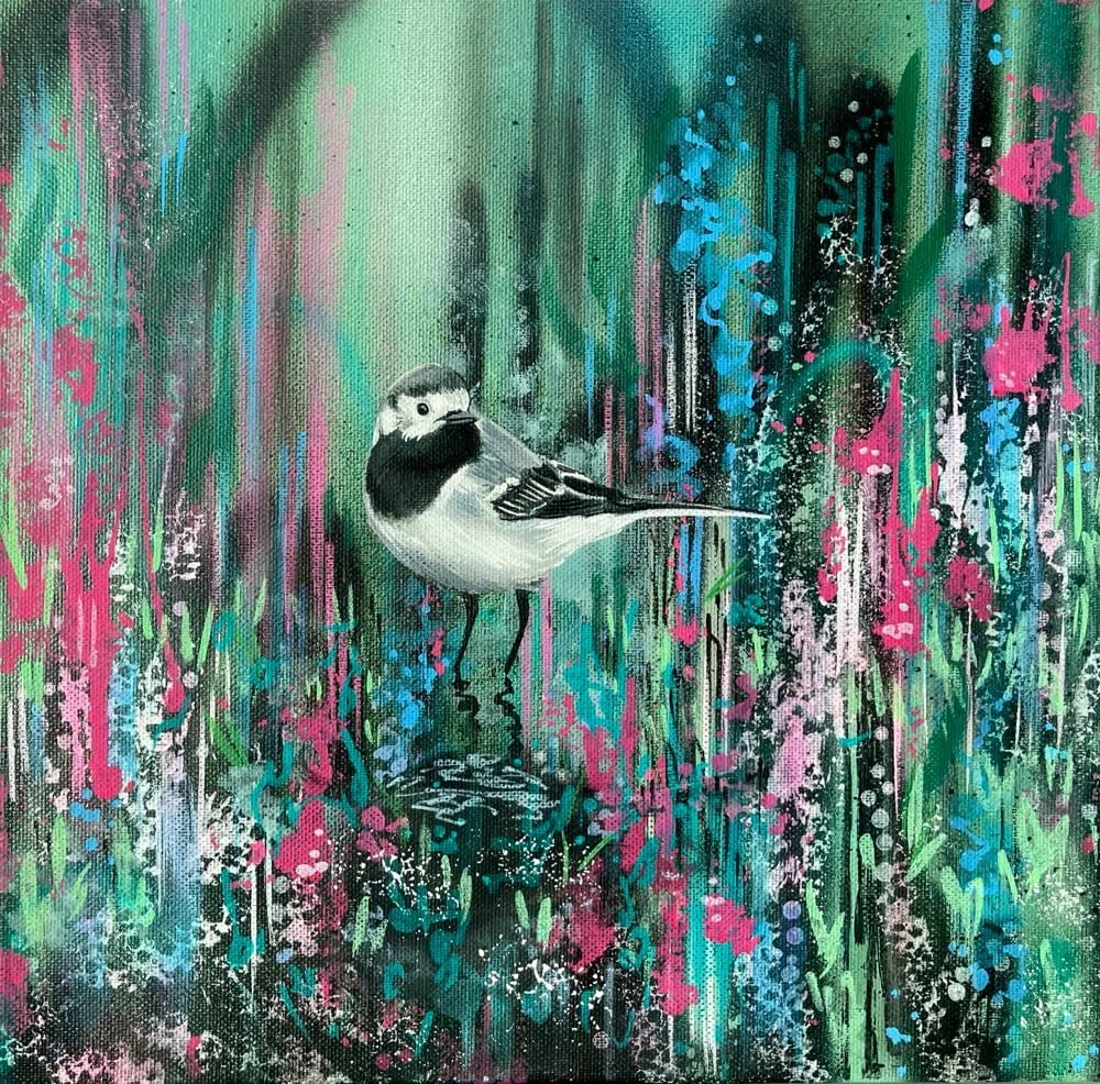 pied-wagtail.jpg