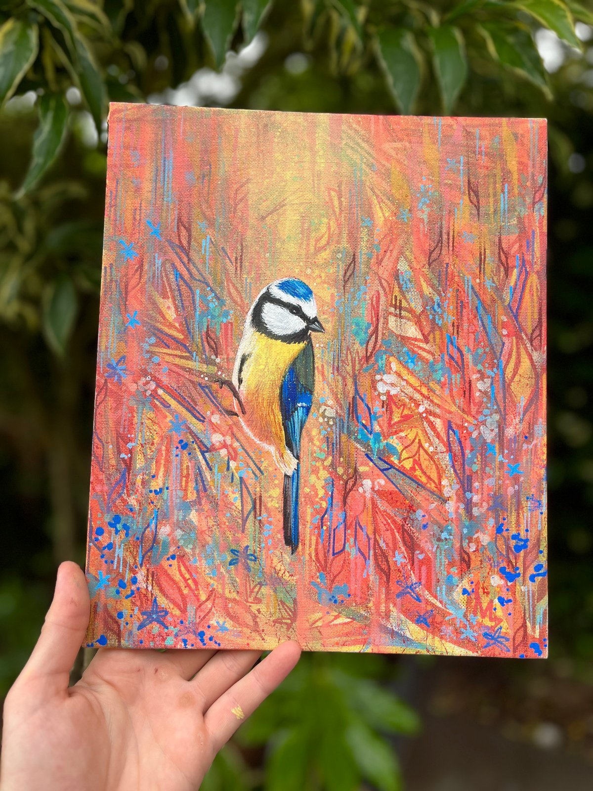 blue-tit.jpg