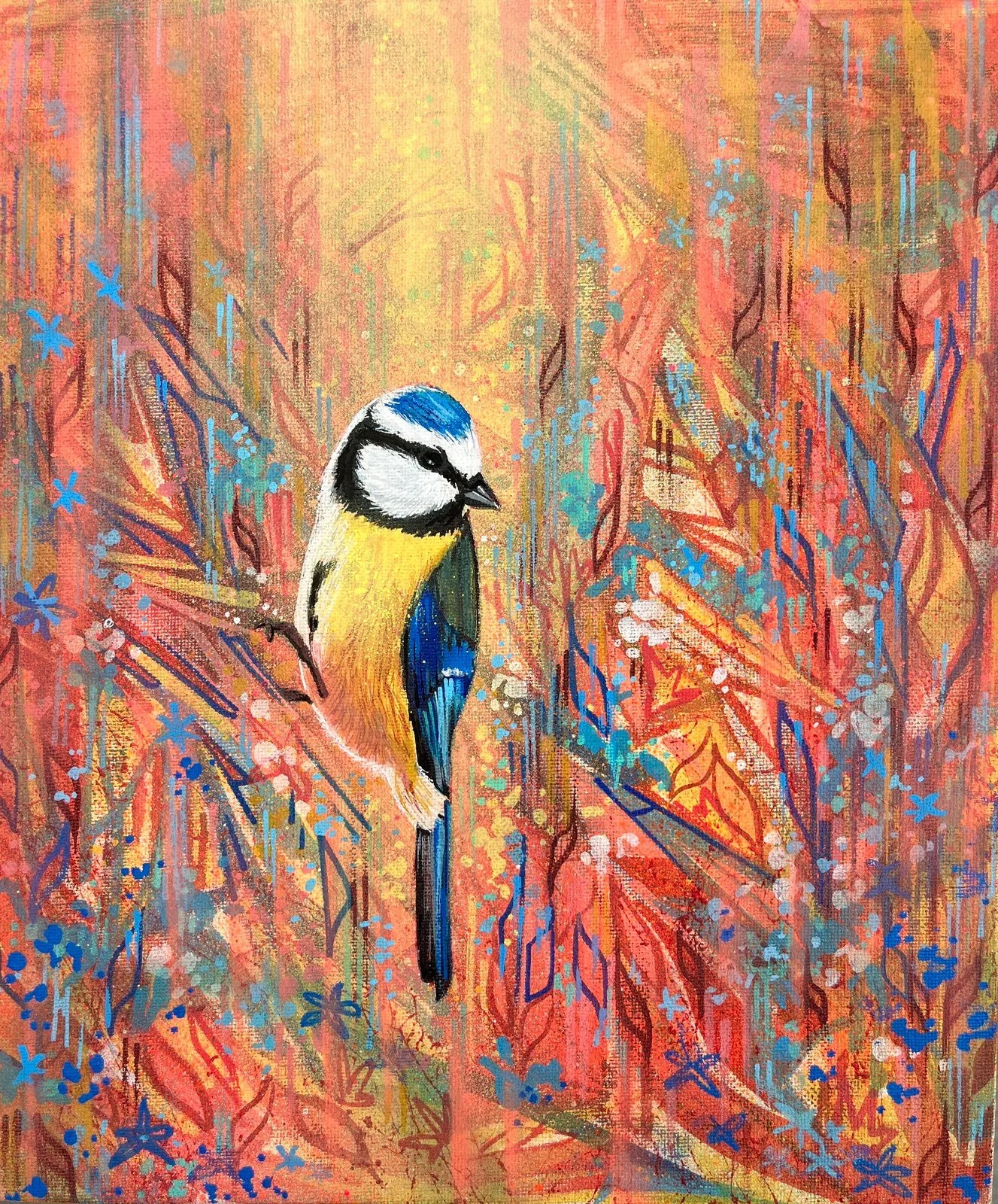 blue-tit.jpg