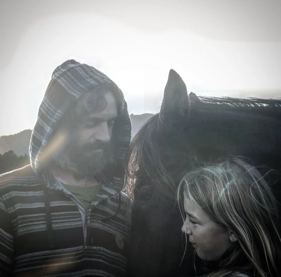 A man and a woman standing close to each other with a horse, backlit by sunlight, outdoors in a natural setting. Connection course horses north auckland