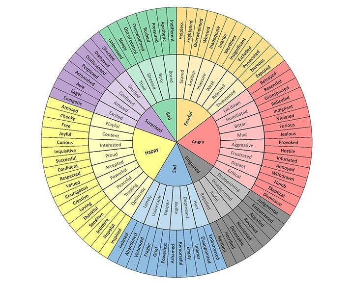 A circular chart showing different emotions categorized in sections: Happy, Surprised, Sad, Fearful, Angry, Disgusted, and Calm, with related descriptive words for each emotion.