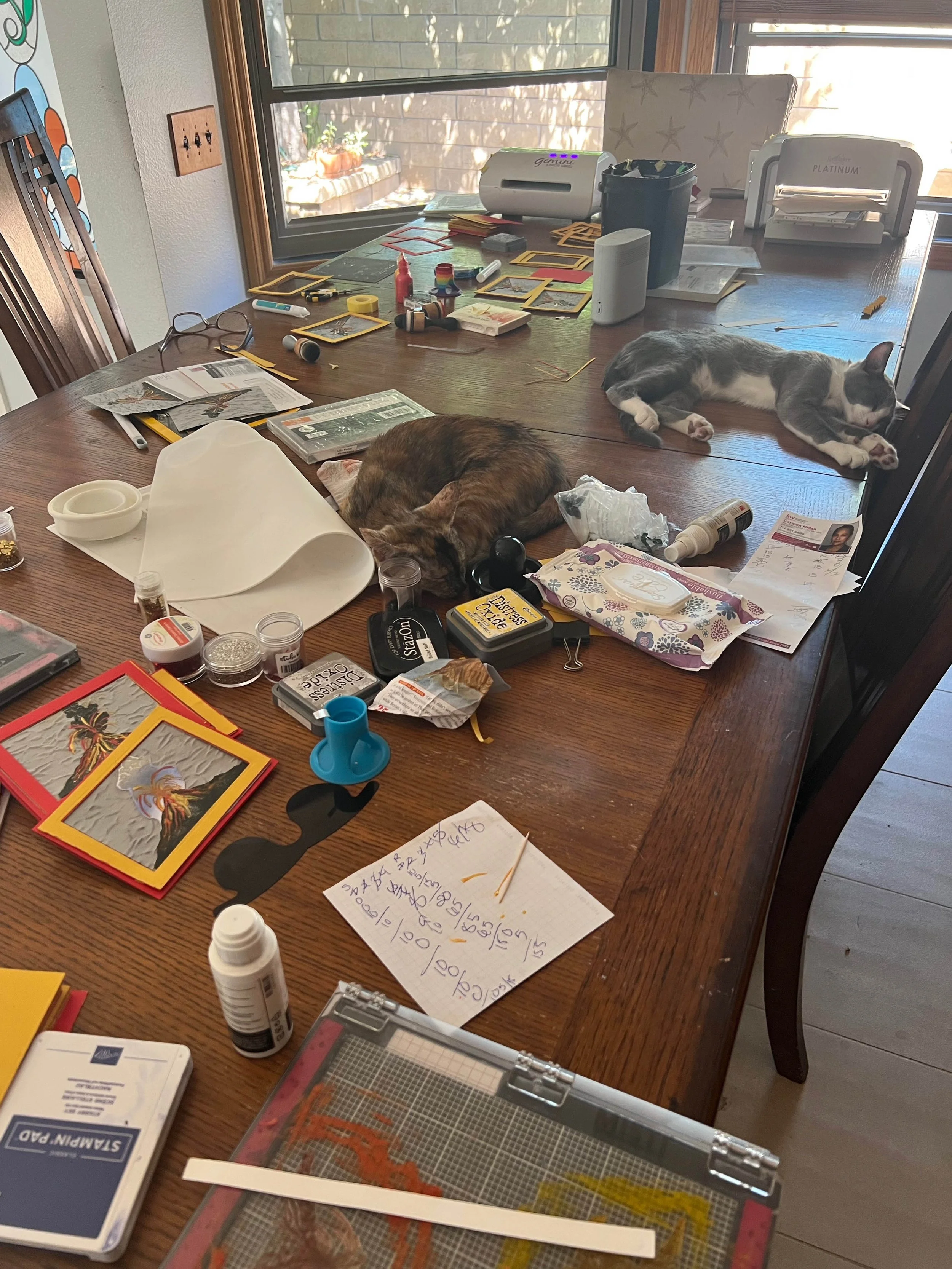 cats sleeping on the craft table