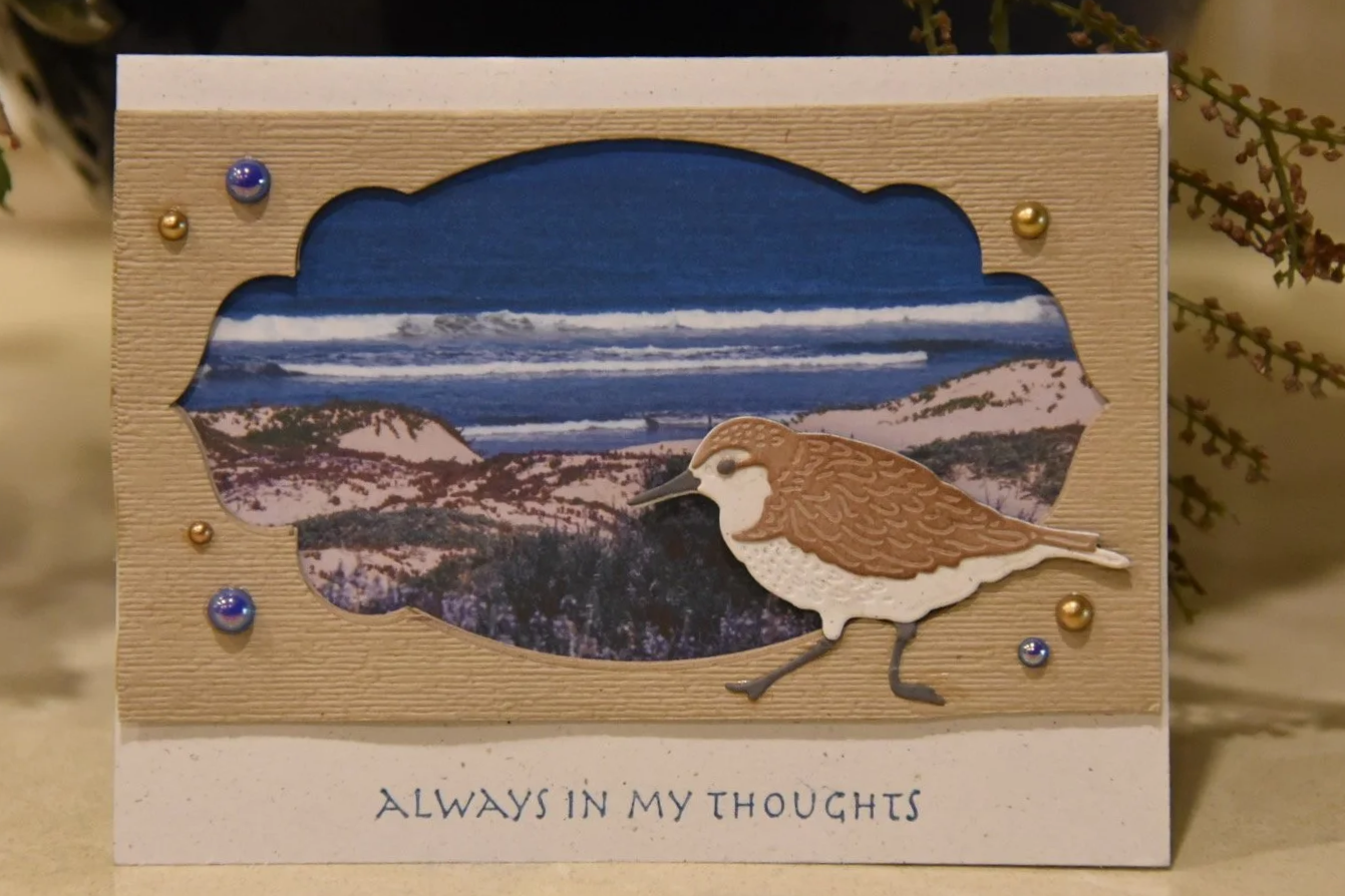 Pismo Beach Sandpiper Cards