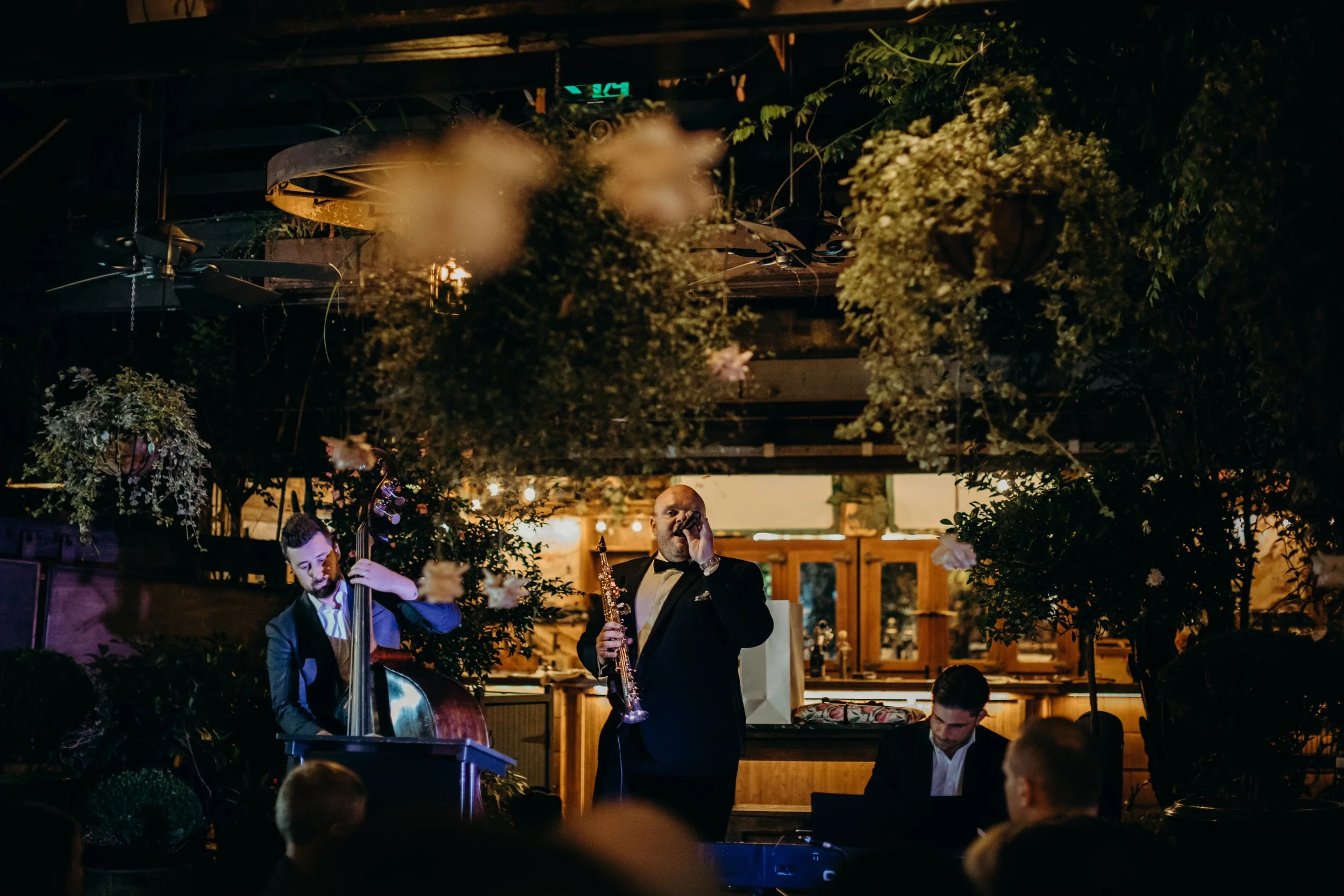 Jazz band playing live music in a cozy indoor setting with lush hanging plants and warm lighting, featuring a saxophonist, a double bassist, and a pianist.
