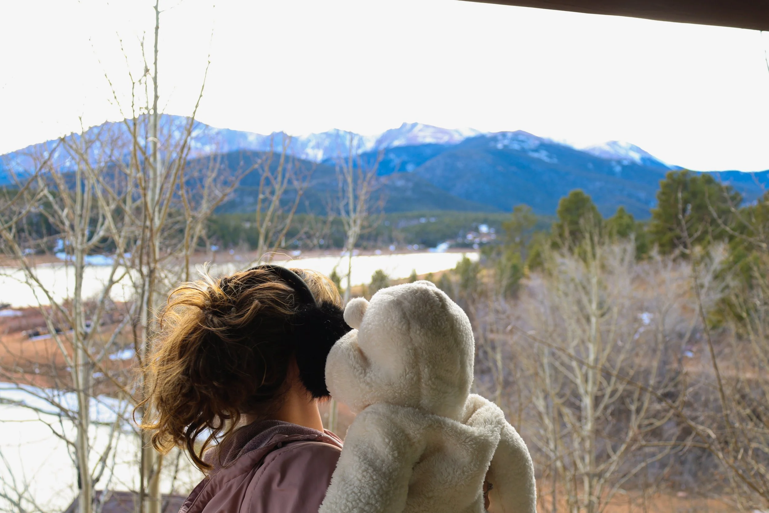 Person holding a teddy bear looking out a window at snow-capped mountains and trees outside.