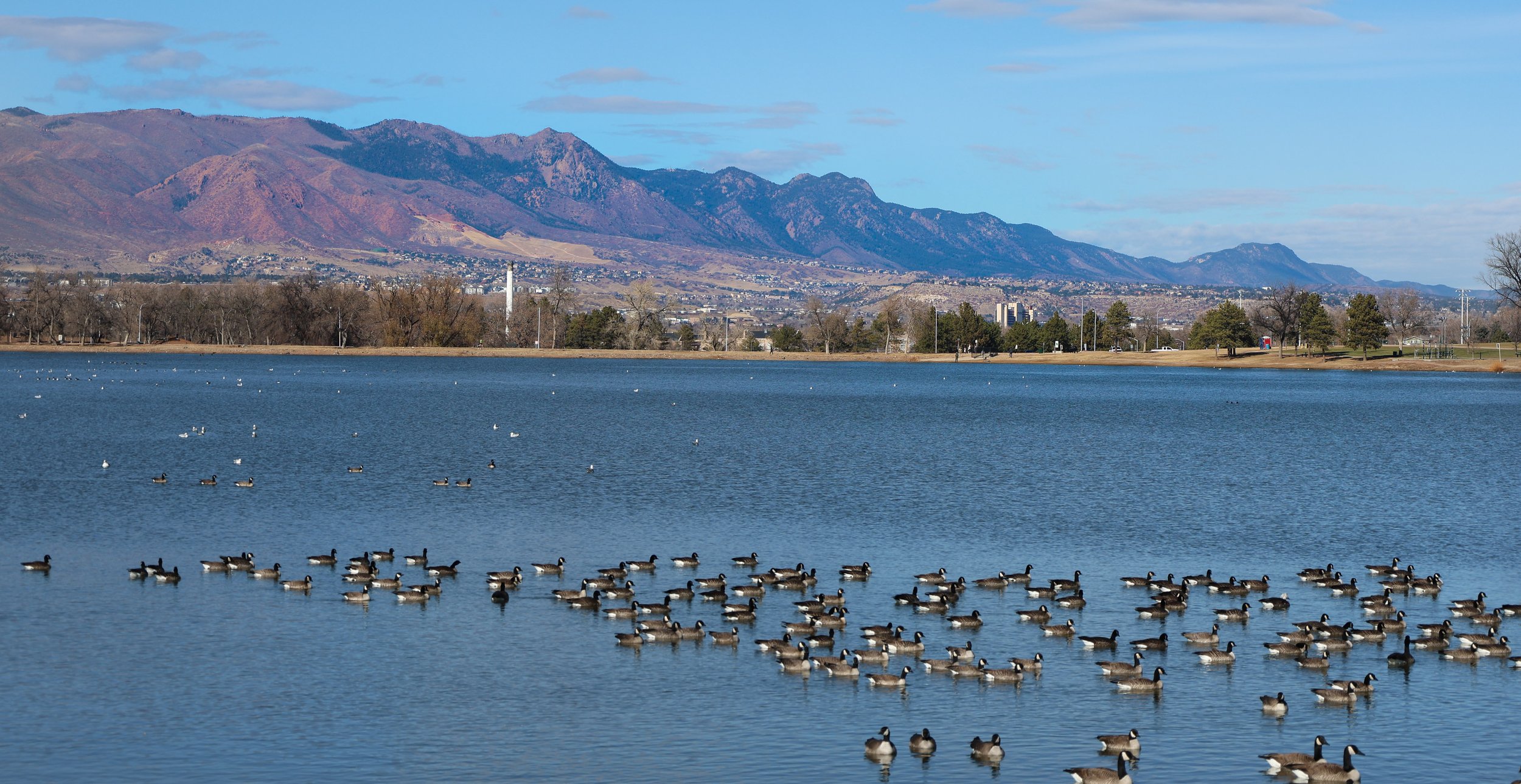 A serene lake with numerous ducks swimming, with a backdrop of mountains, trees, and a partly cloudy sky.