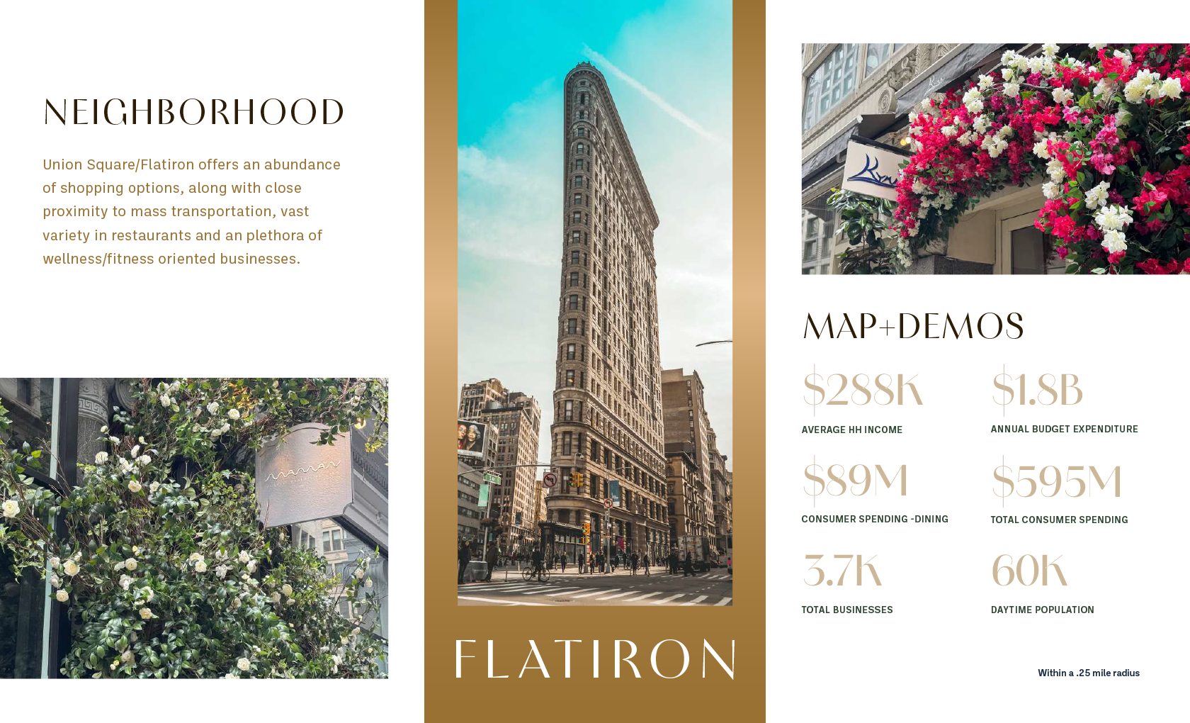Neighborhood demographics