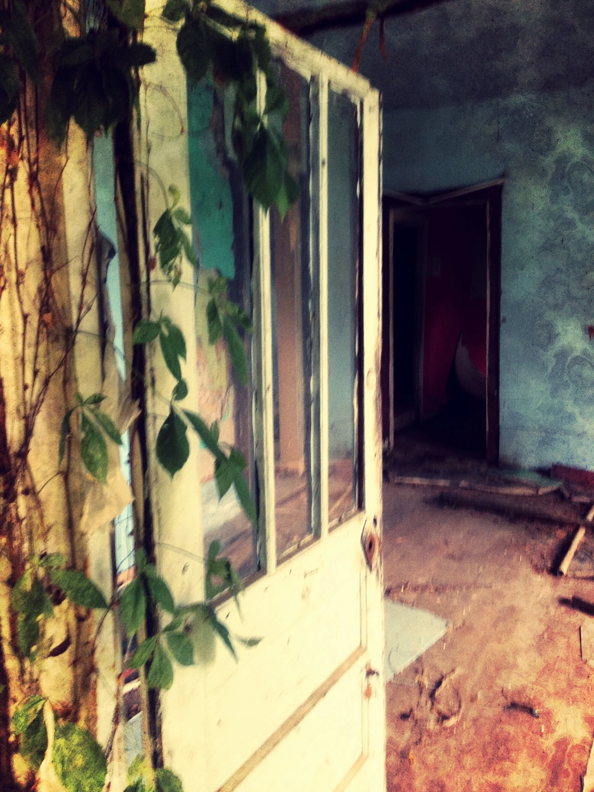 An abandoned, decayed room with a partially broken glass door and overgrown vines on the left side. The floor and walls appear old and damaged.