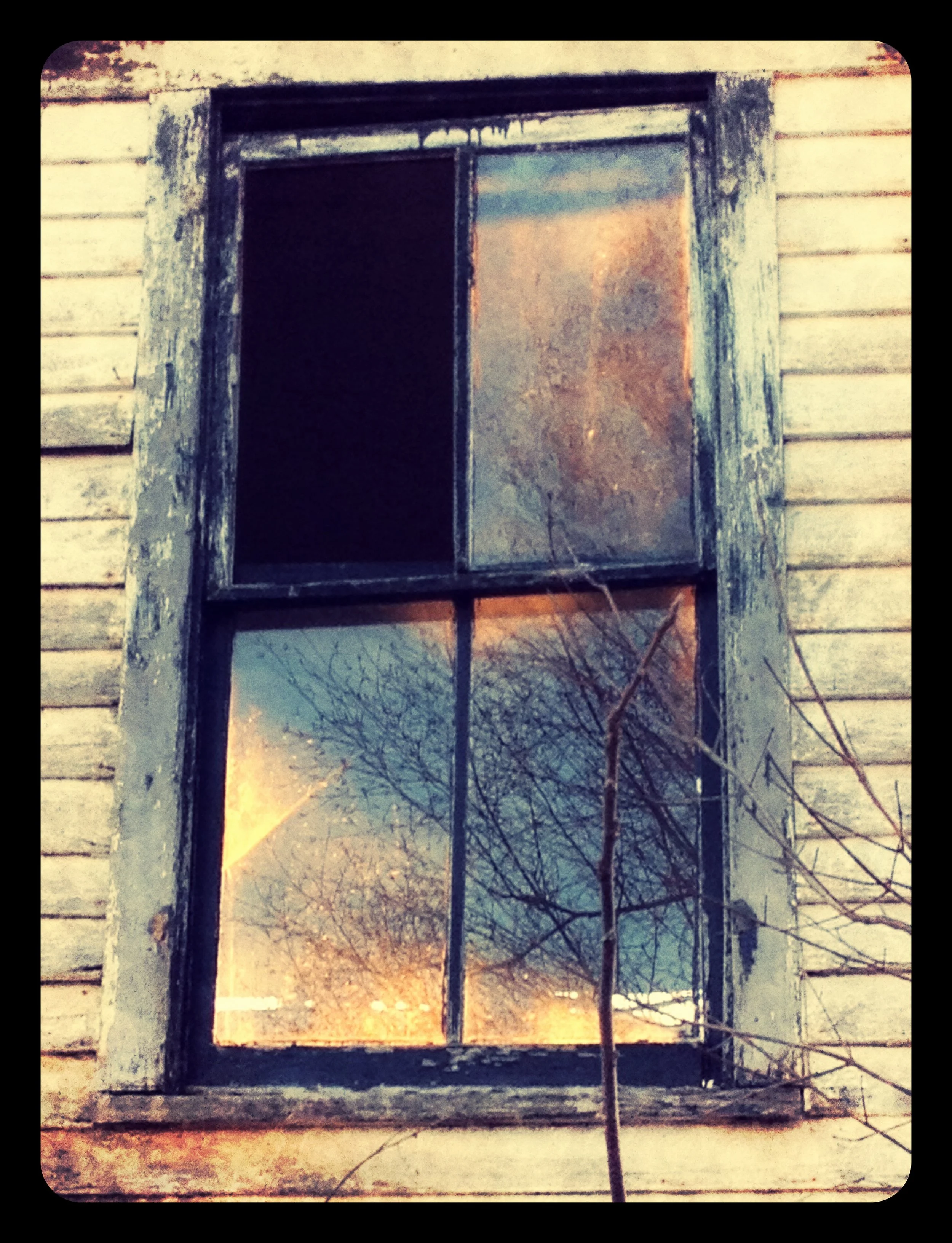An old, weathered window with four panes, part of a wooden house, with leafless tree branches reflecting in the glass at sunset.