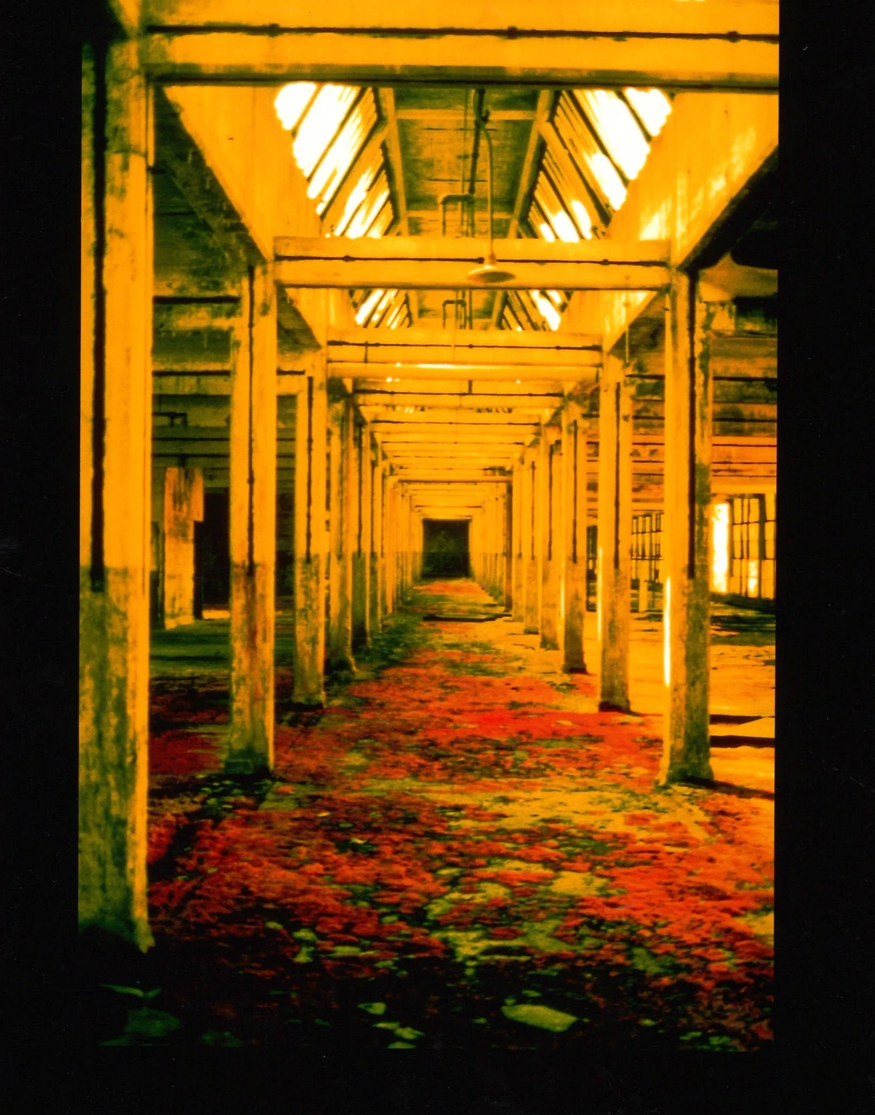 An empty wooden structure with a high ceiling and support beams, illuminated by warm yellow lighting. The floor is covered with red and green debris, and large windows are visible on the right side.