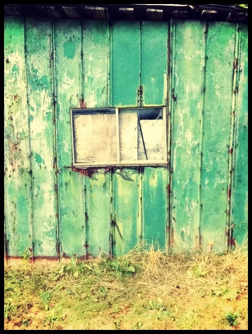 Green wooden shed with a small window with damaged screen and peeling paint, located outdoors with grass in front.