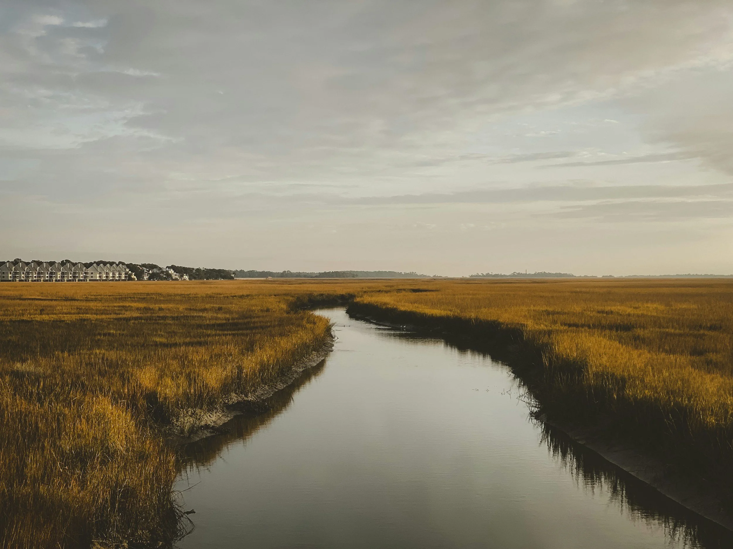 A narrow waterway winds through a marsh with tall, golden grasses under a cloudy sky, with buildings in the distance on the left side of the horizon.
