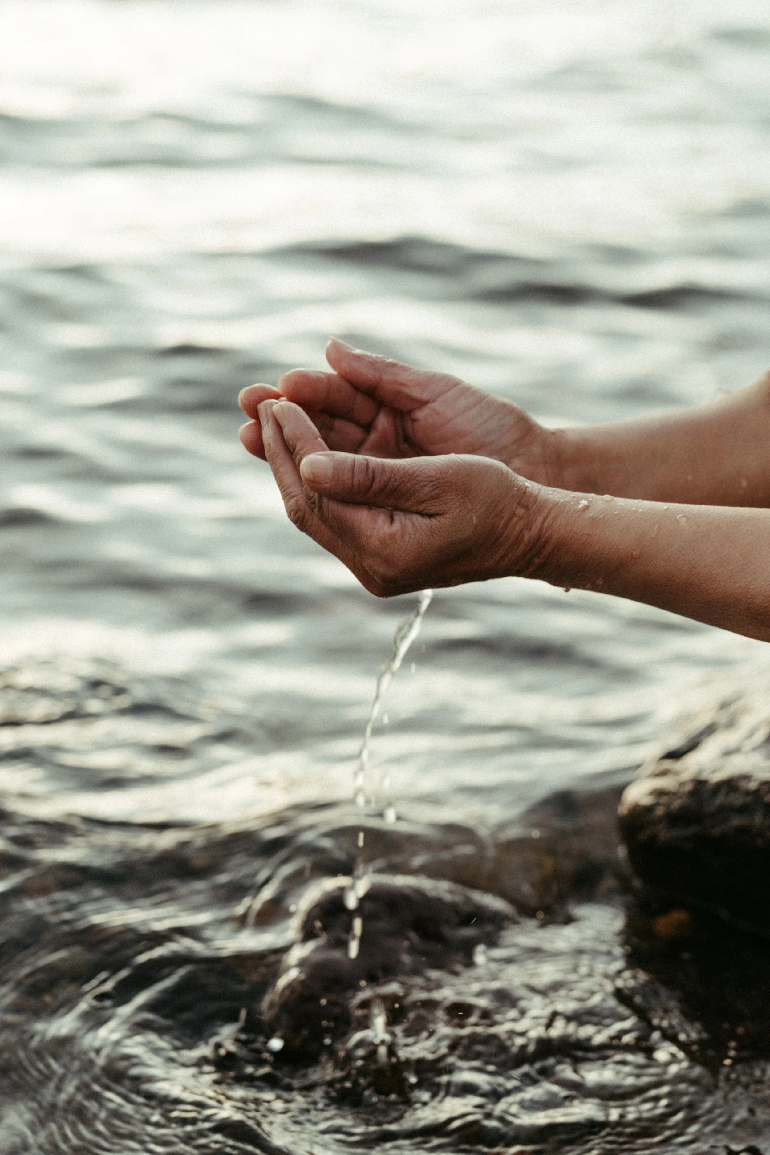 mae's branding-75.jpg