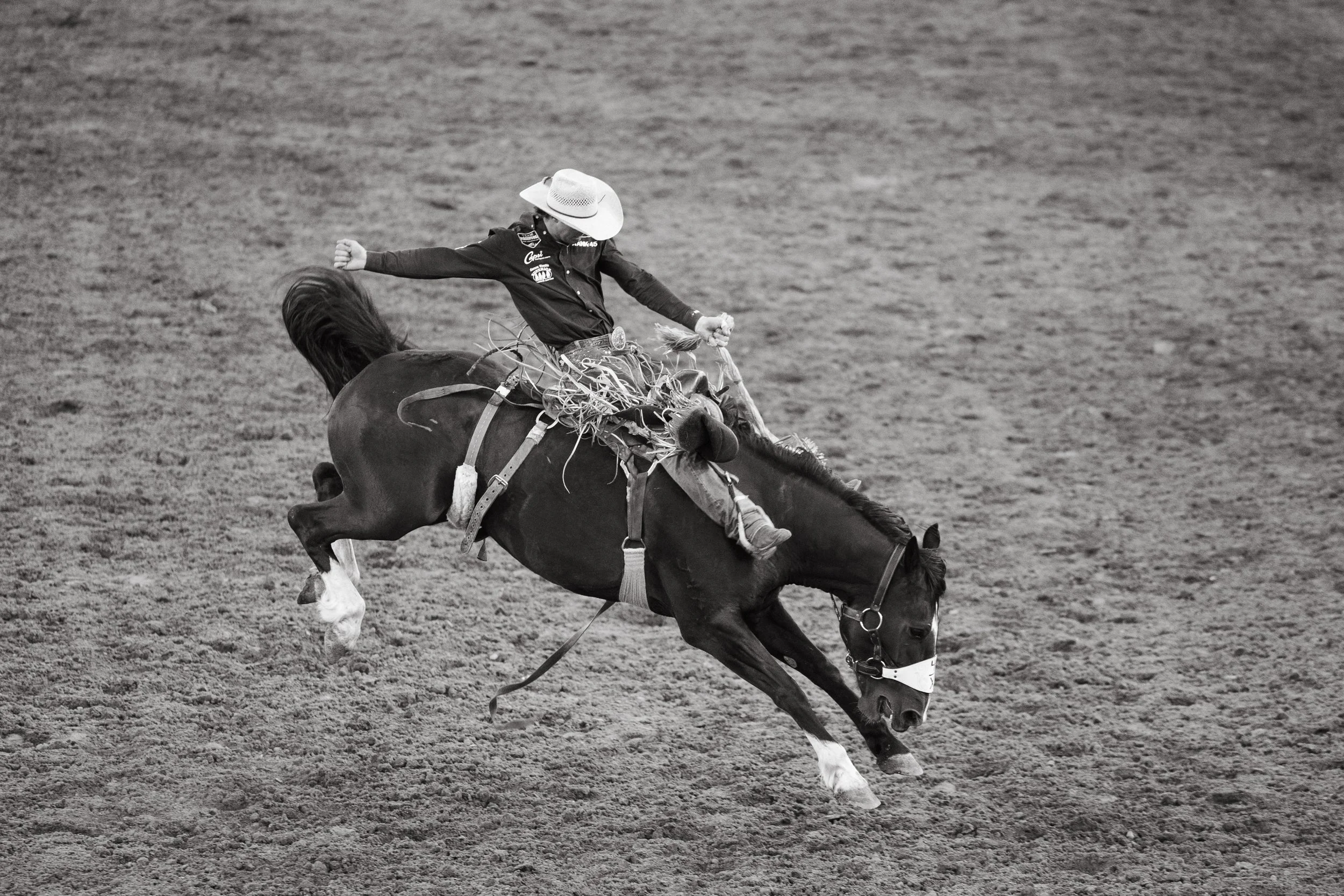 Rodeo-9.jpg