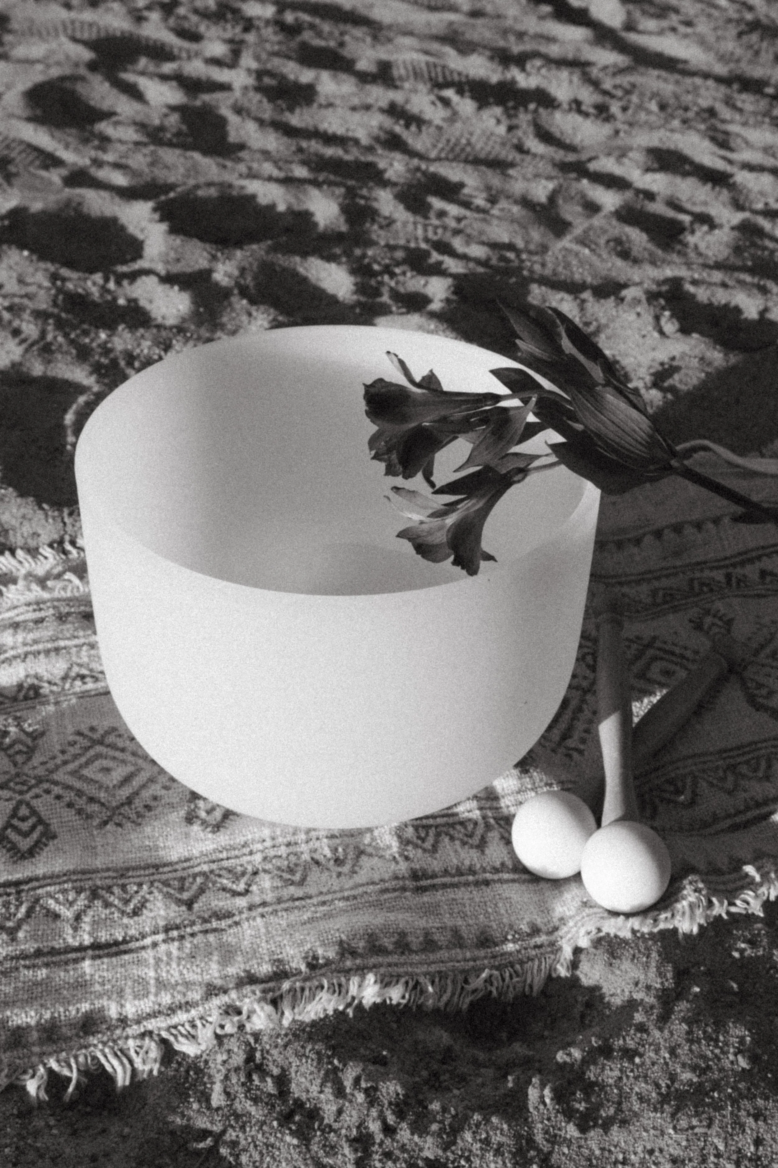 mae's branding-44.jpg