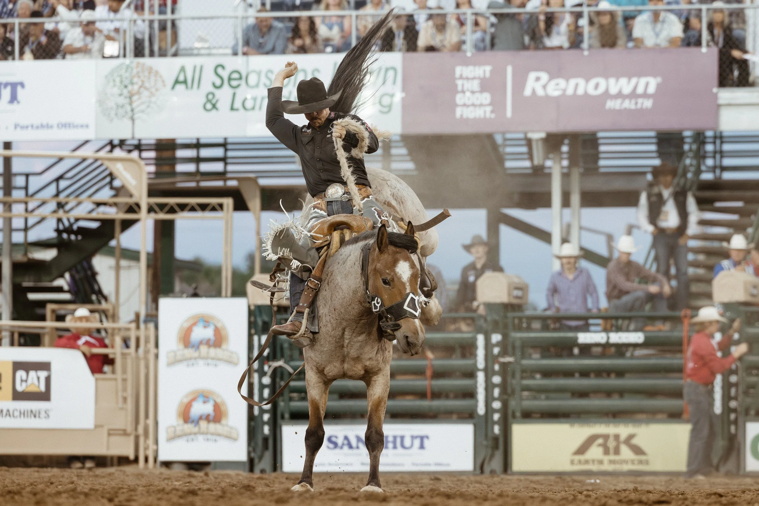 Rodeo-15.jpg