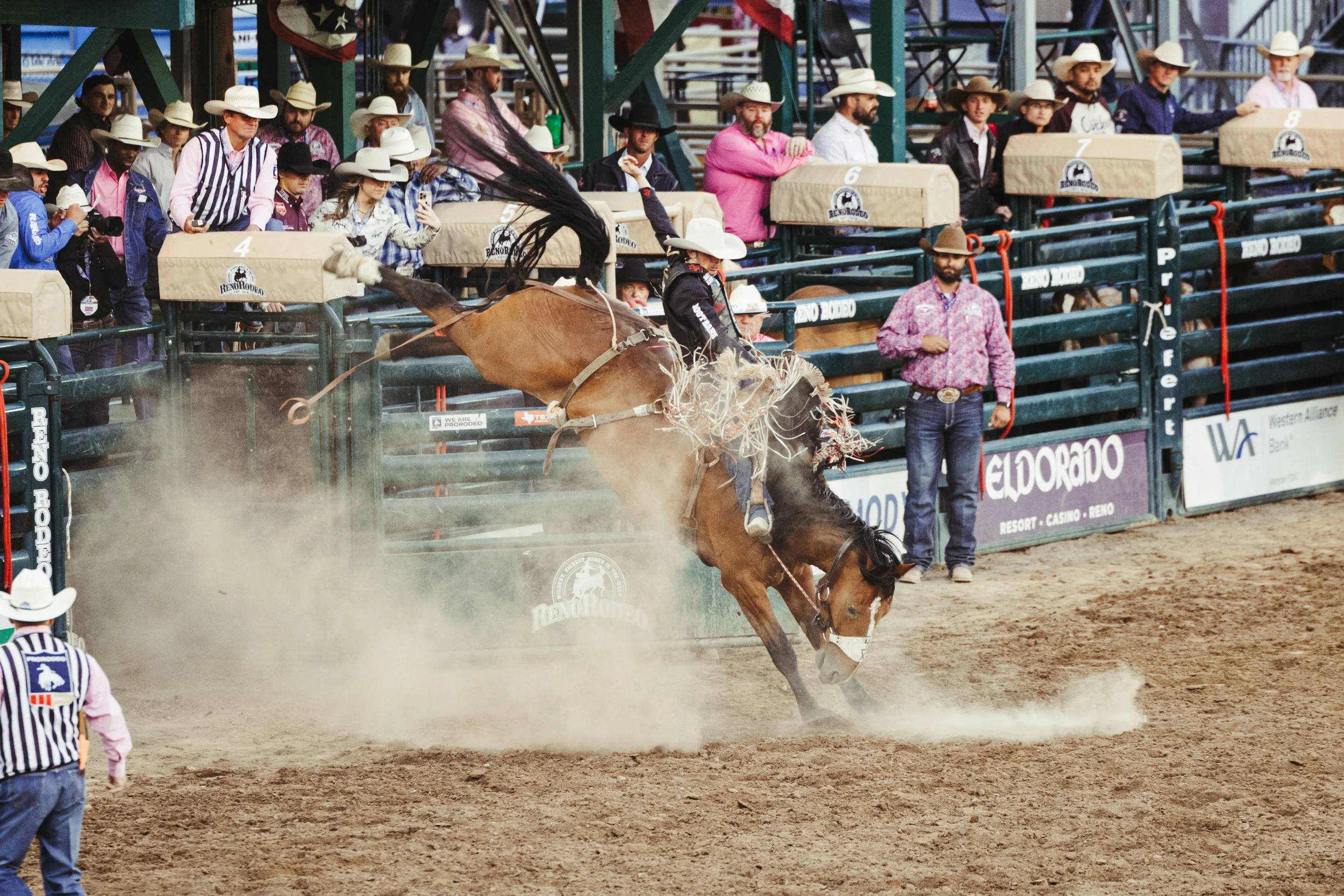 Rodeo-10.jpg