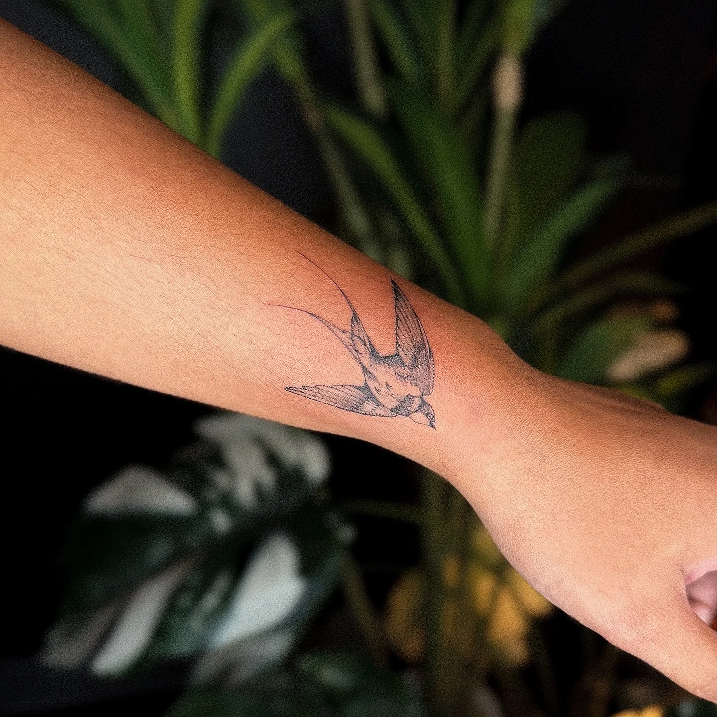 recents 🪡🕊️🪻🪽💗🐶