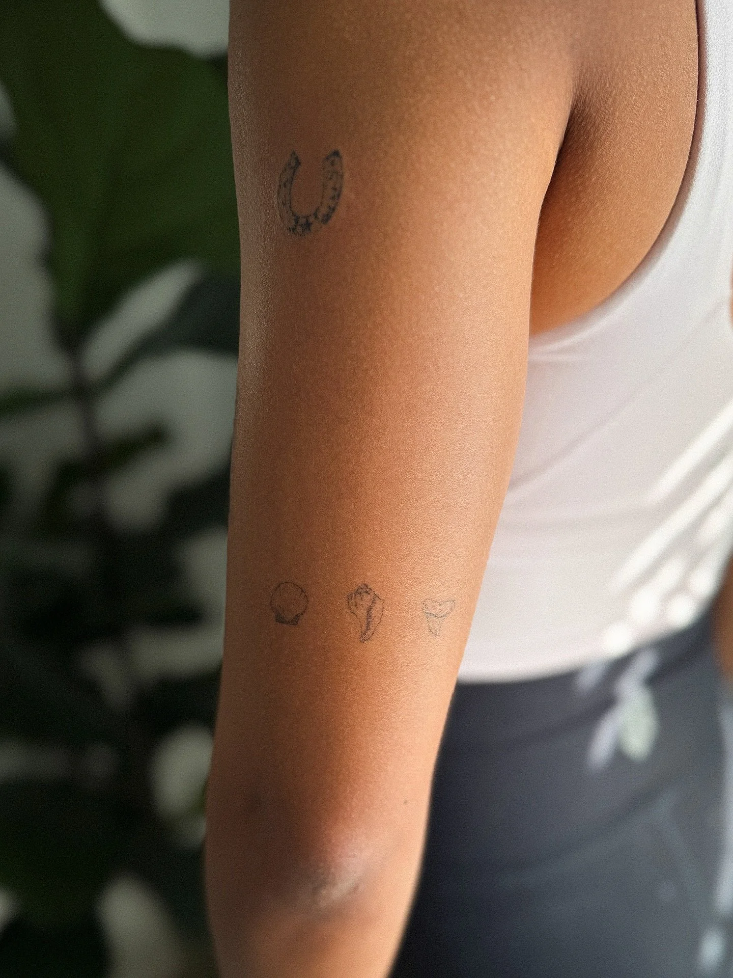 shells &amp; shark tooth fully healed 
beachy fine line tattoos coming soon
ponte vedra beach, florida 🐚