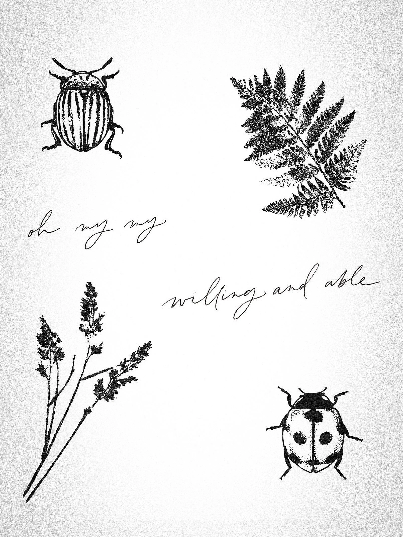 @noahkahanmusic the great divide: last of the bugs inspired flash 🐞

(except the appointment takes twice as long because we&rsquo;re scream-singing along to the entire album together) 

#noahkahan #finelinetattooflash