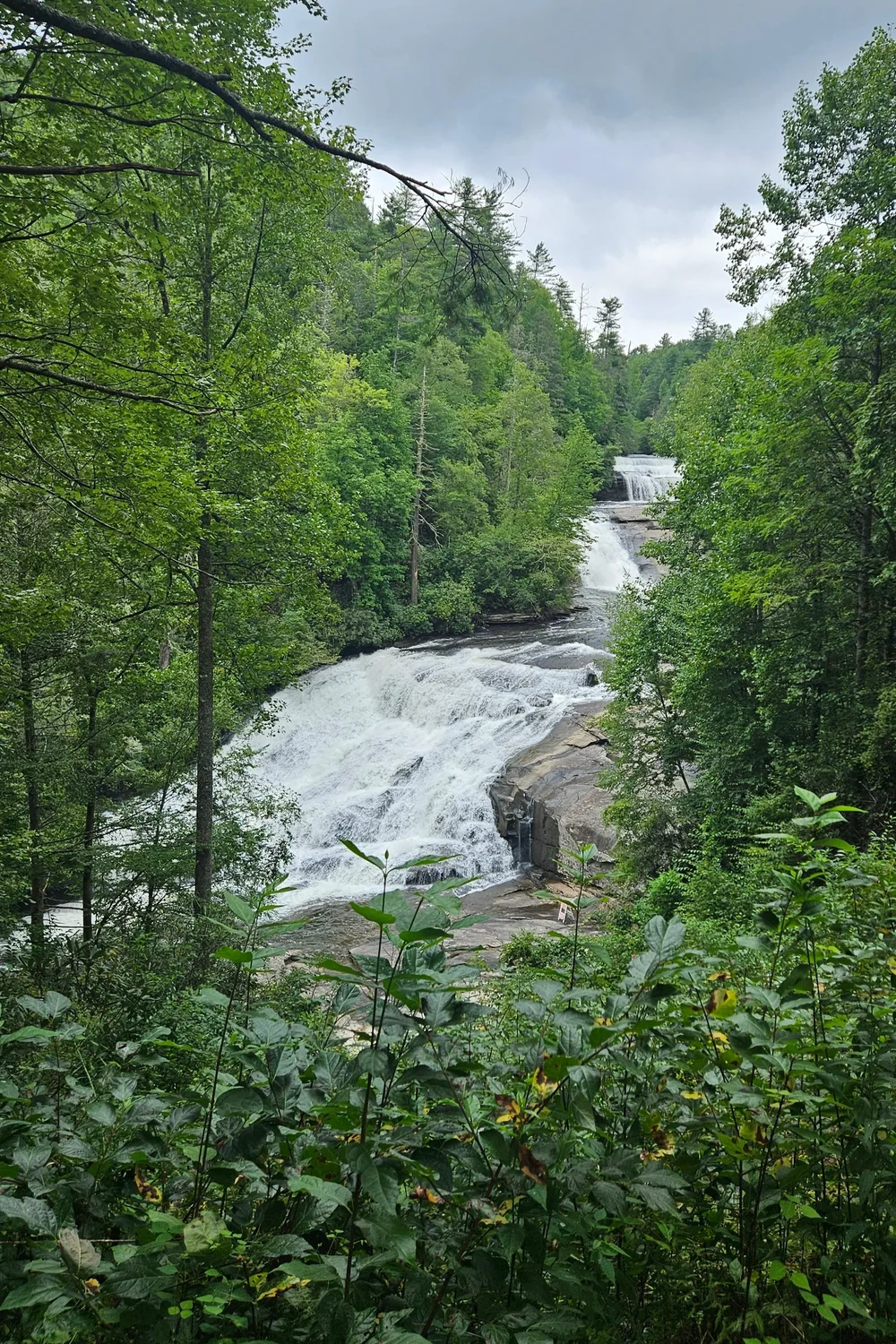 Can a Yoga Hiking Retreat Improve Physical Endurance and Flexibility?