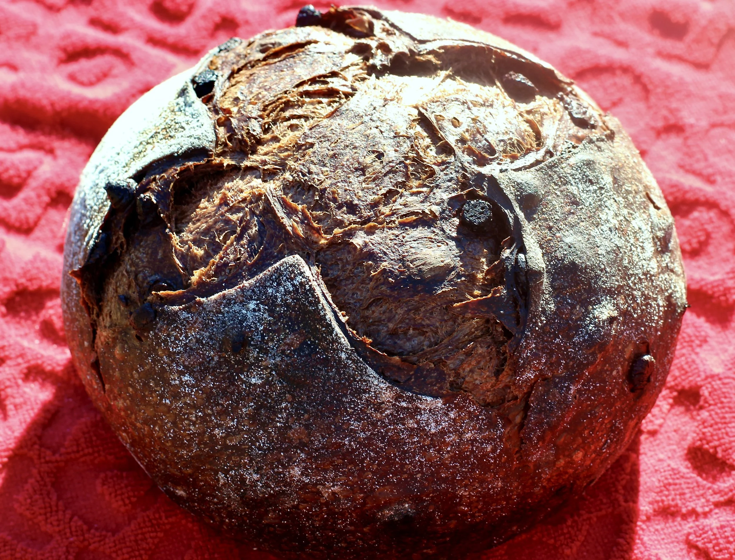 Chocolate Sourdough Loaf