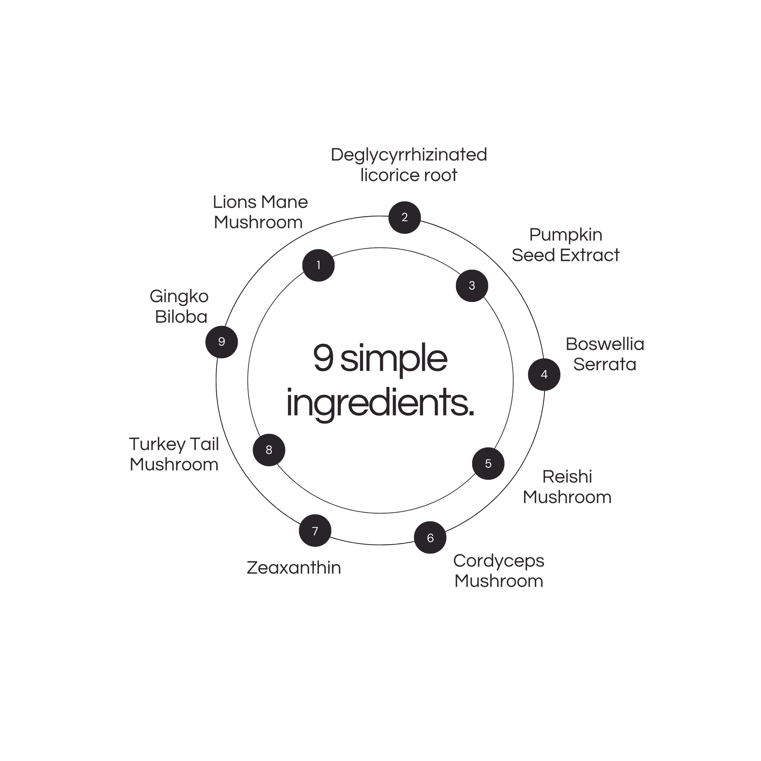 Copy of Keys to taking care of your brain -5.png
