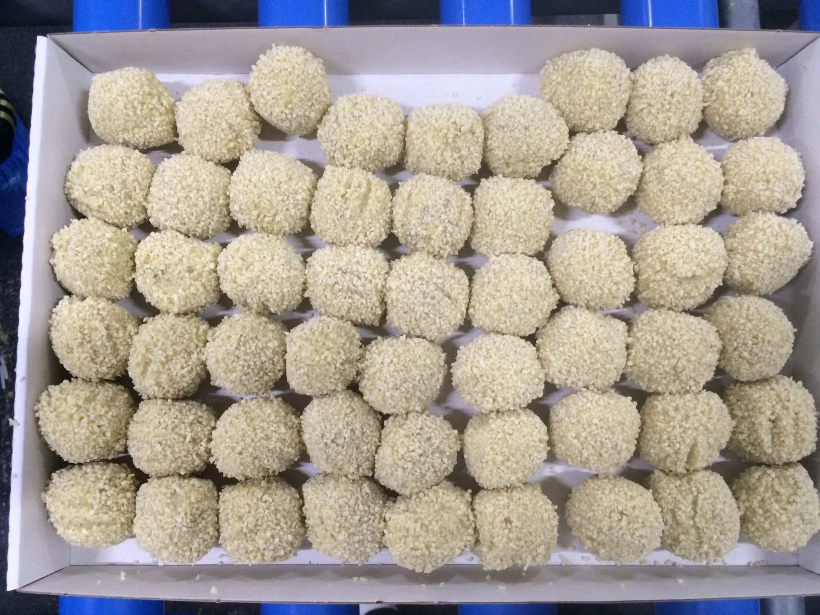 Bitterballen in box.JPG (Copy)