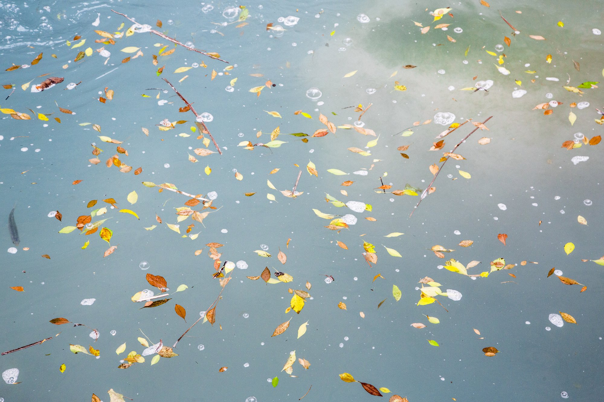 11-29-18GrandCanyon-Brooke Warren1532.JPG