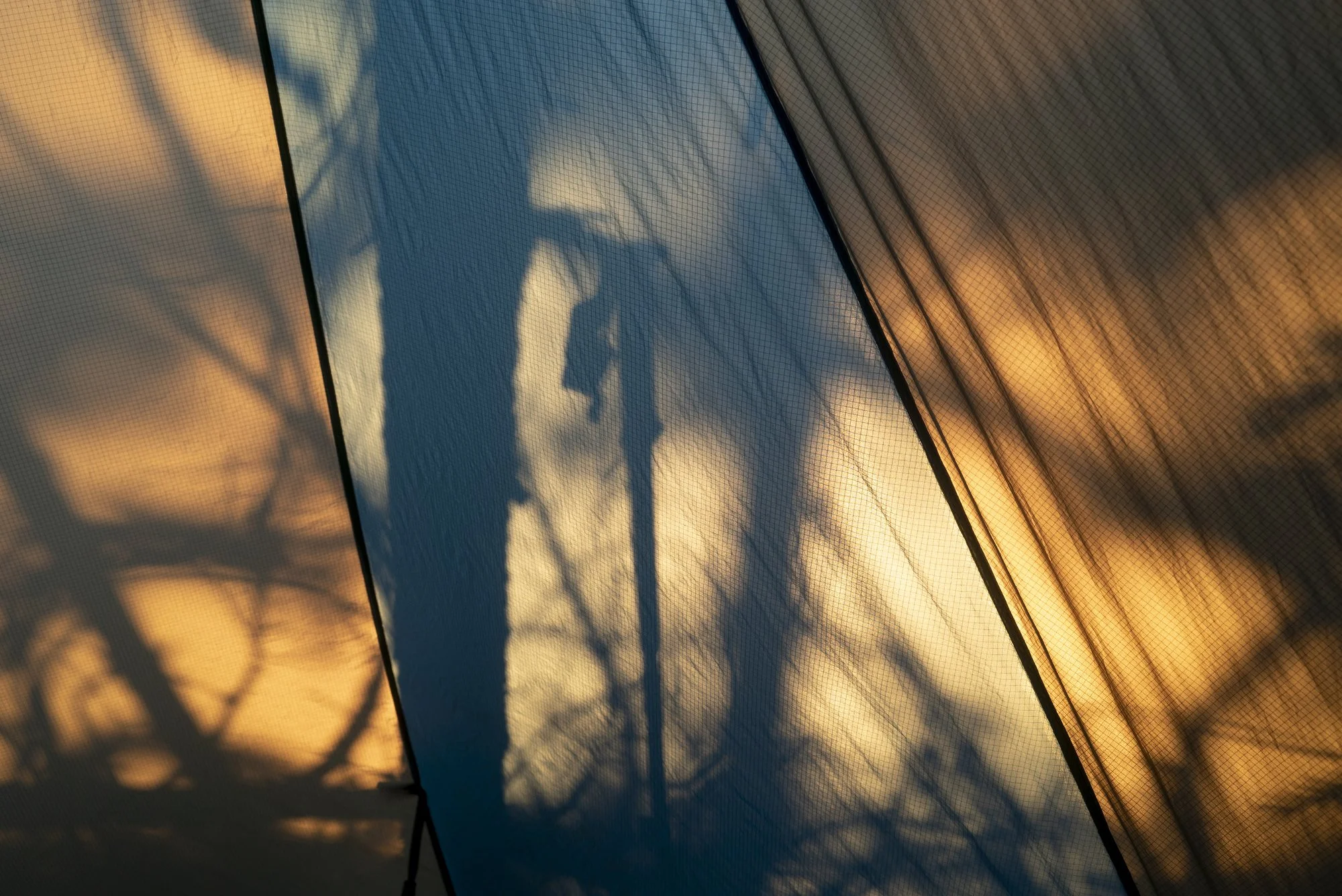 7-21-18COBS-15MTN-CCXX841-Brooke Warren265.JPG