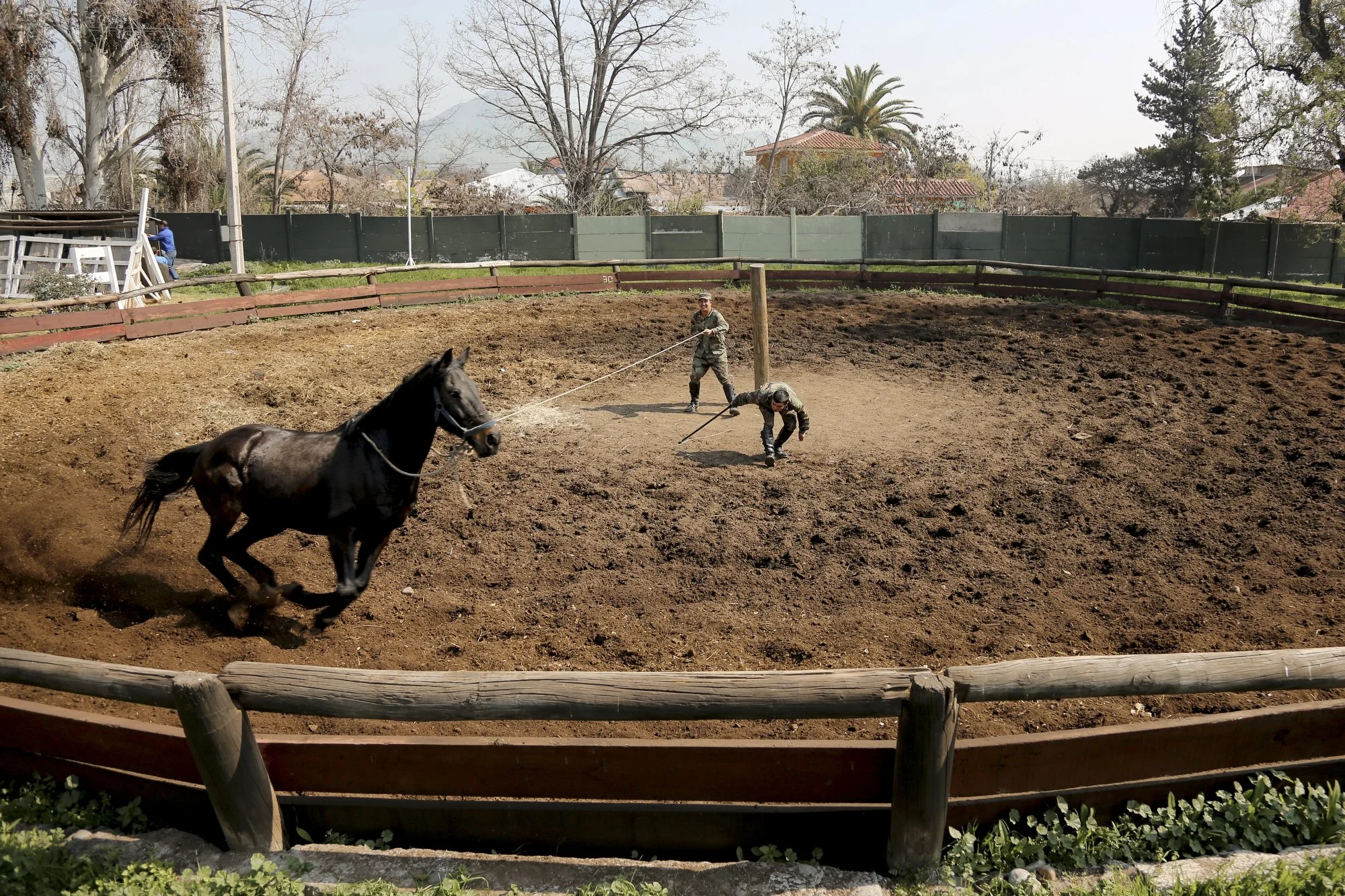 Soldiers Jesús Cordero and Adrian Mallea train Panteon the horse at Campo Militar San Bernardo in Santiago, Chile. 