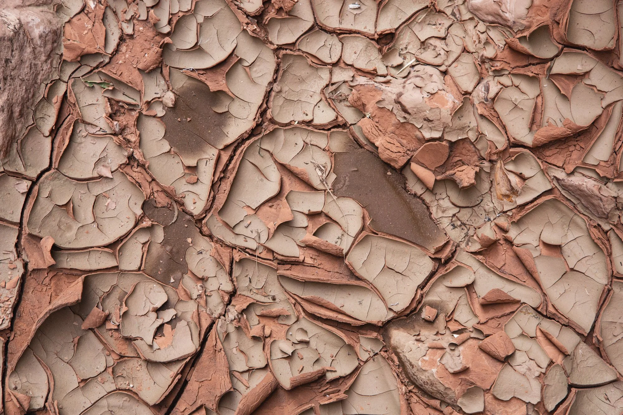 11-14-18GrandCanyon-Brooke Warren118.JPG