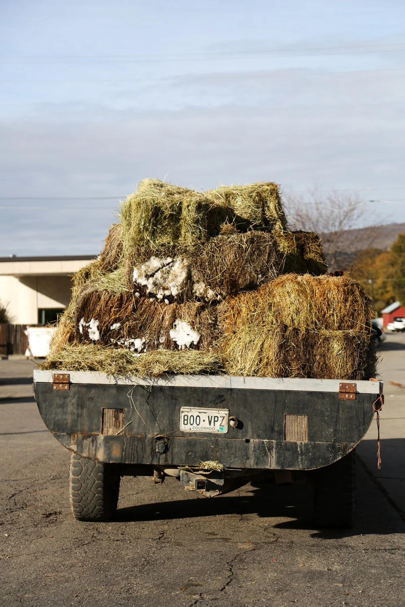 11-18-15HayTruck-BrookeWarren-003.JPG