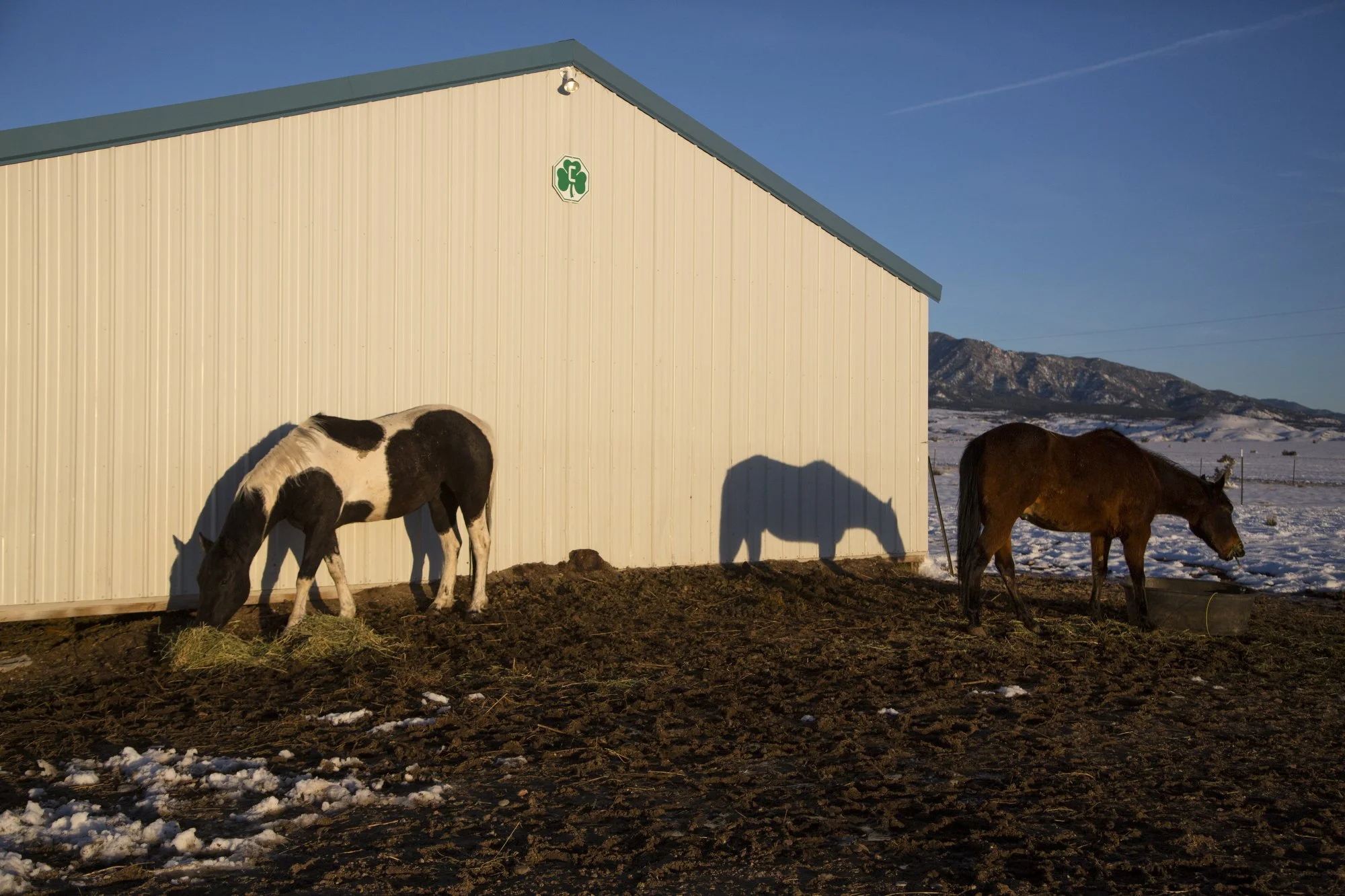 4-6-17Walsenburg-Brooke Warren137.JPG