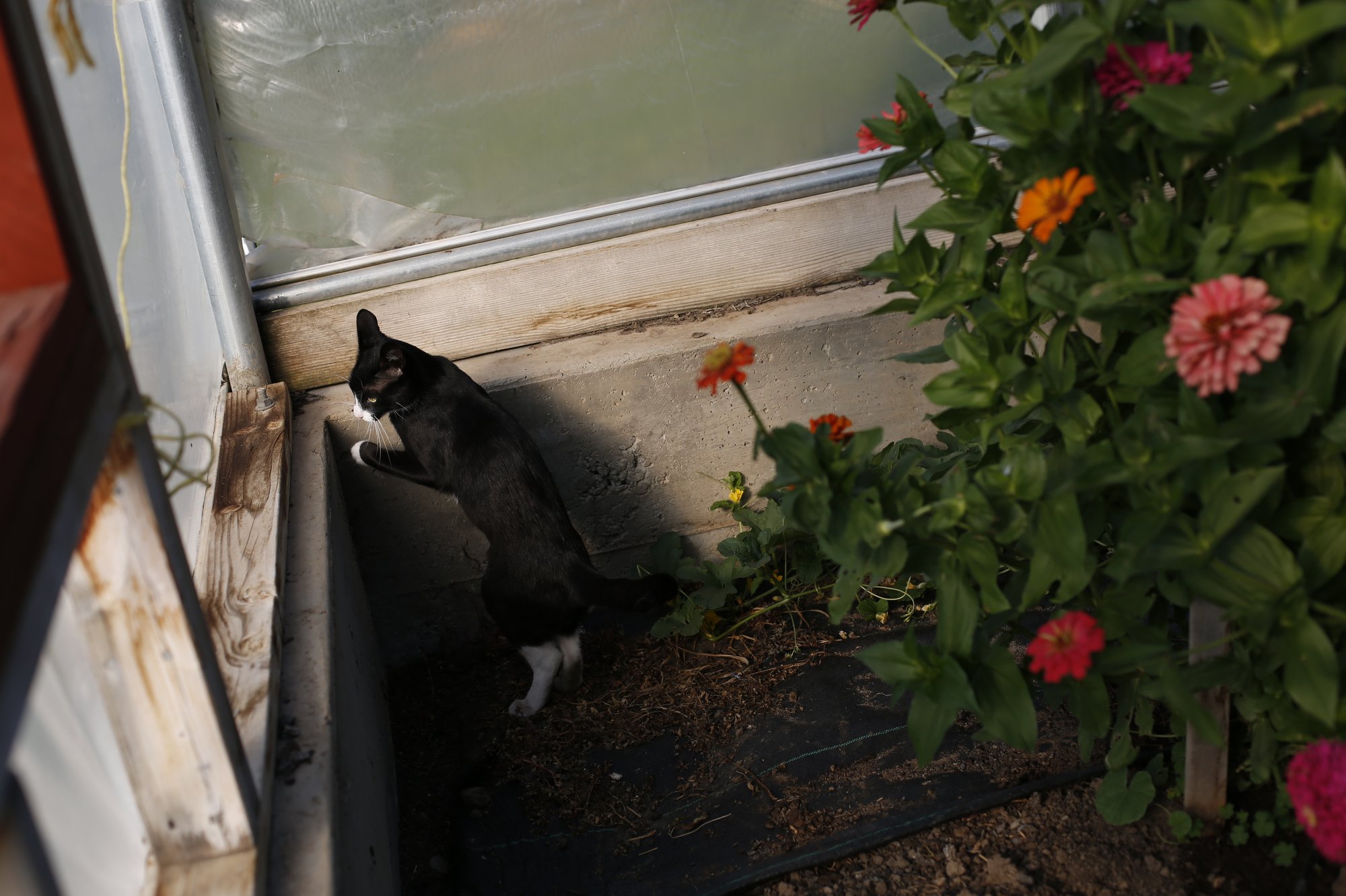 8-9-18NorthForkLeaseSale-Brooke Warren1122.JPG