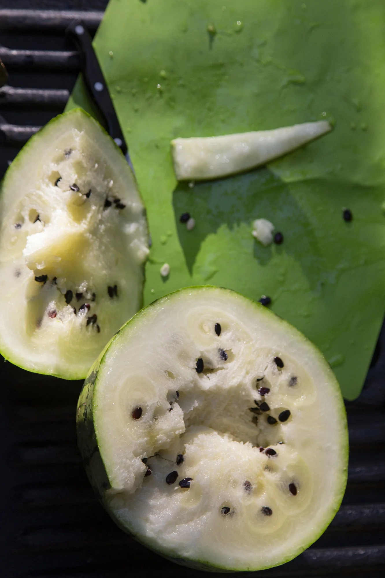 8-20-16WestElk50-Brooke Warren1352.JPG