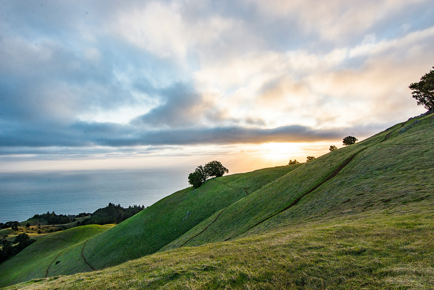Hilly green landscape with trees and a sunset sky overhead