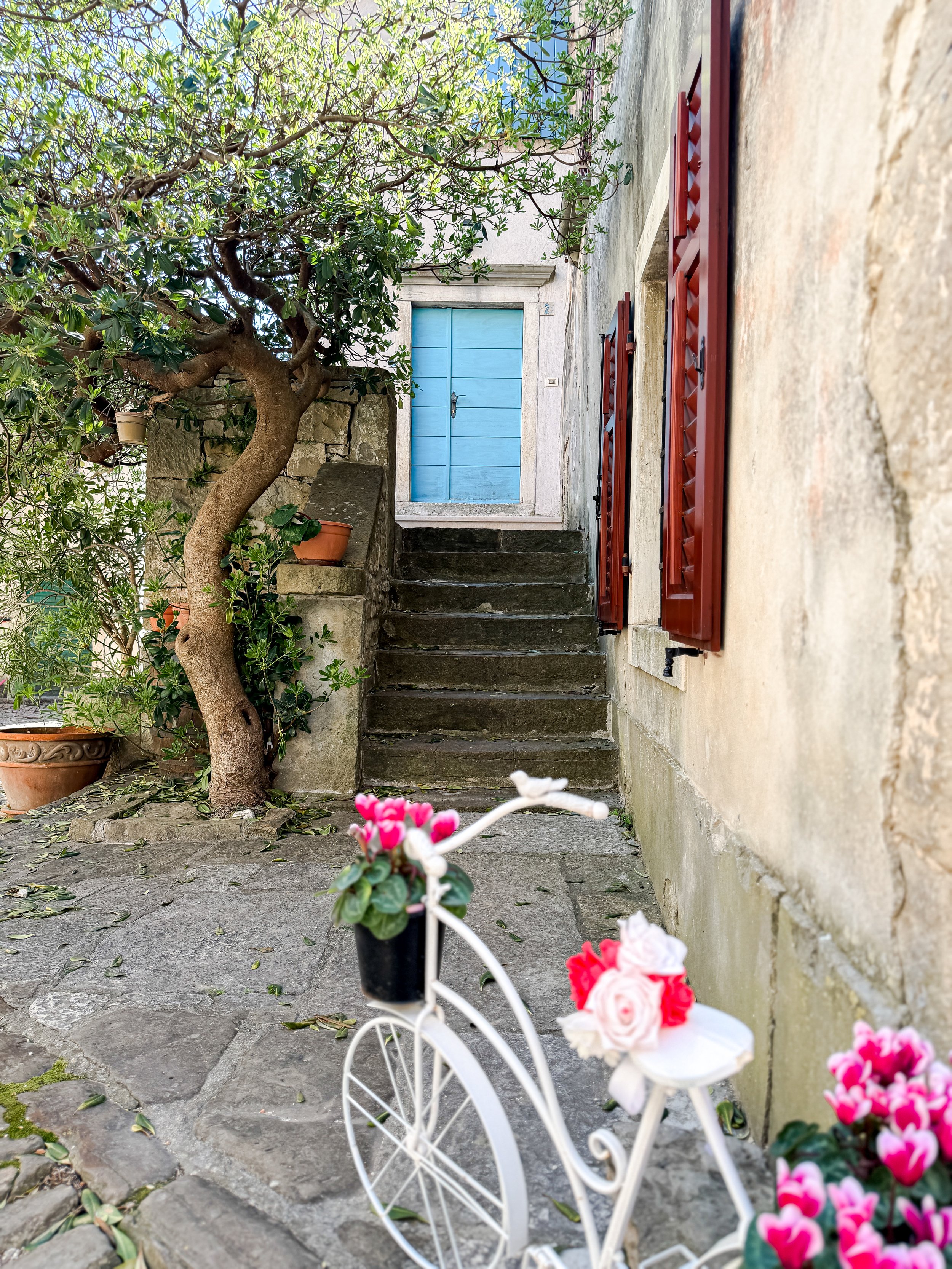 A small white decorative bicycle with pink and white flowers on its basket on a stone paved ground. Behind it, there are pink geranium flowers and a small tree with multiple branches and green leaves, growing next to a stone wall. An outdoor door painted in bright blue is visible in the background.