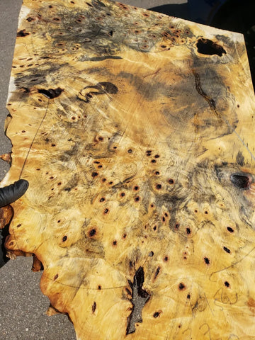 Close-up of a burl wood slab with natural knots and imperfections.