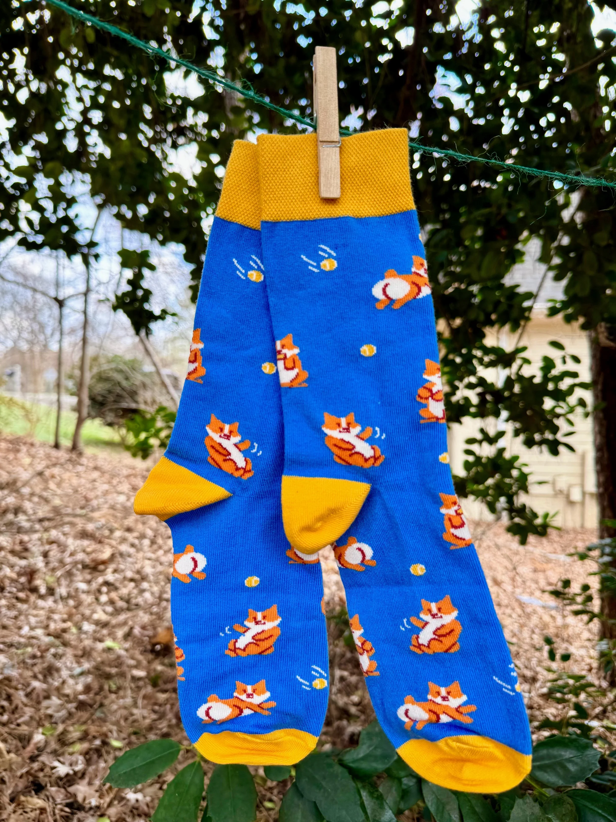 Corgi Socks