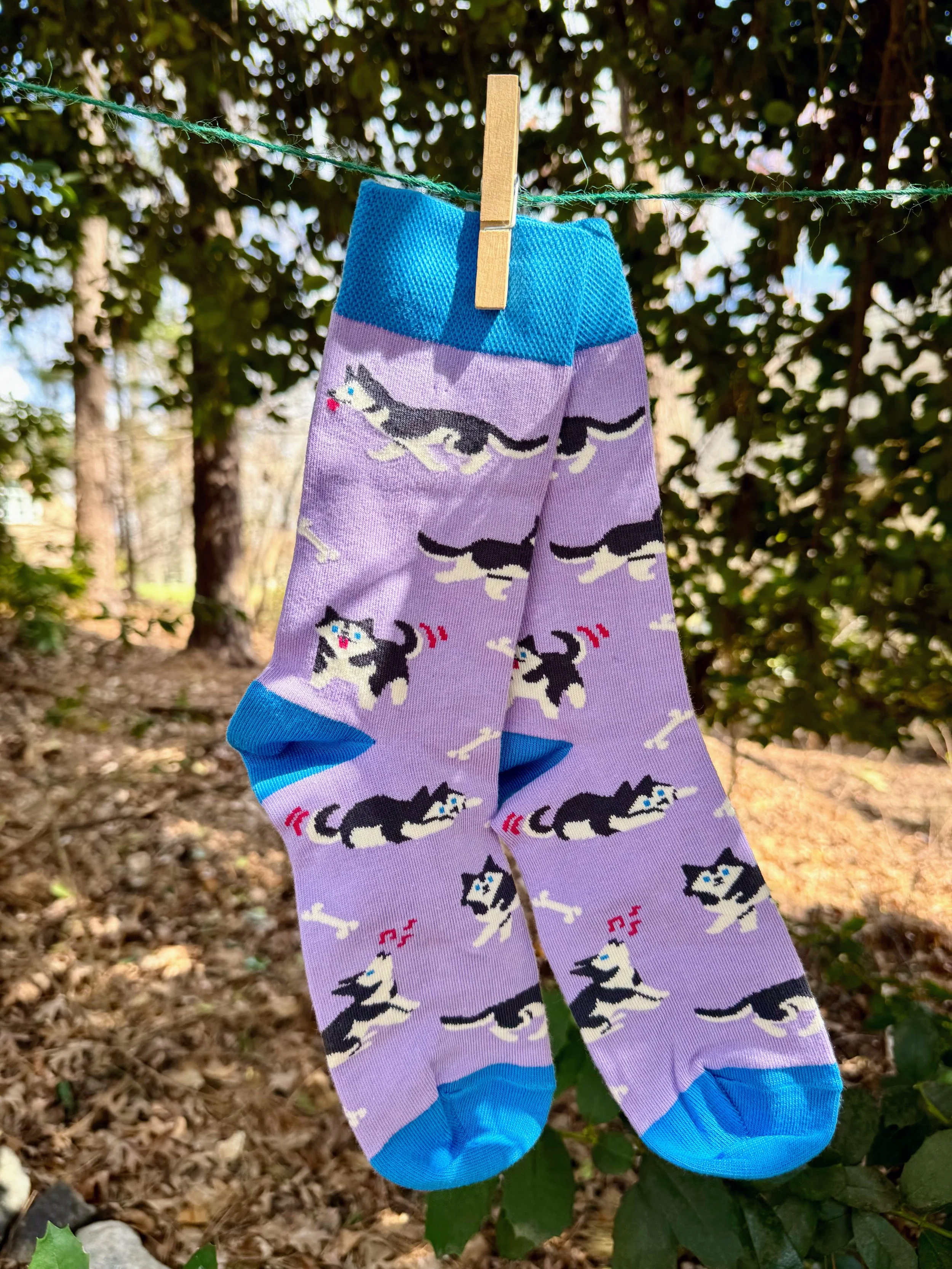 Husky Socks