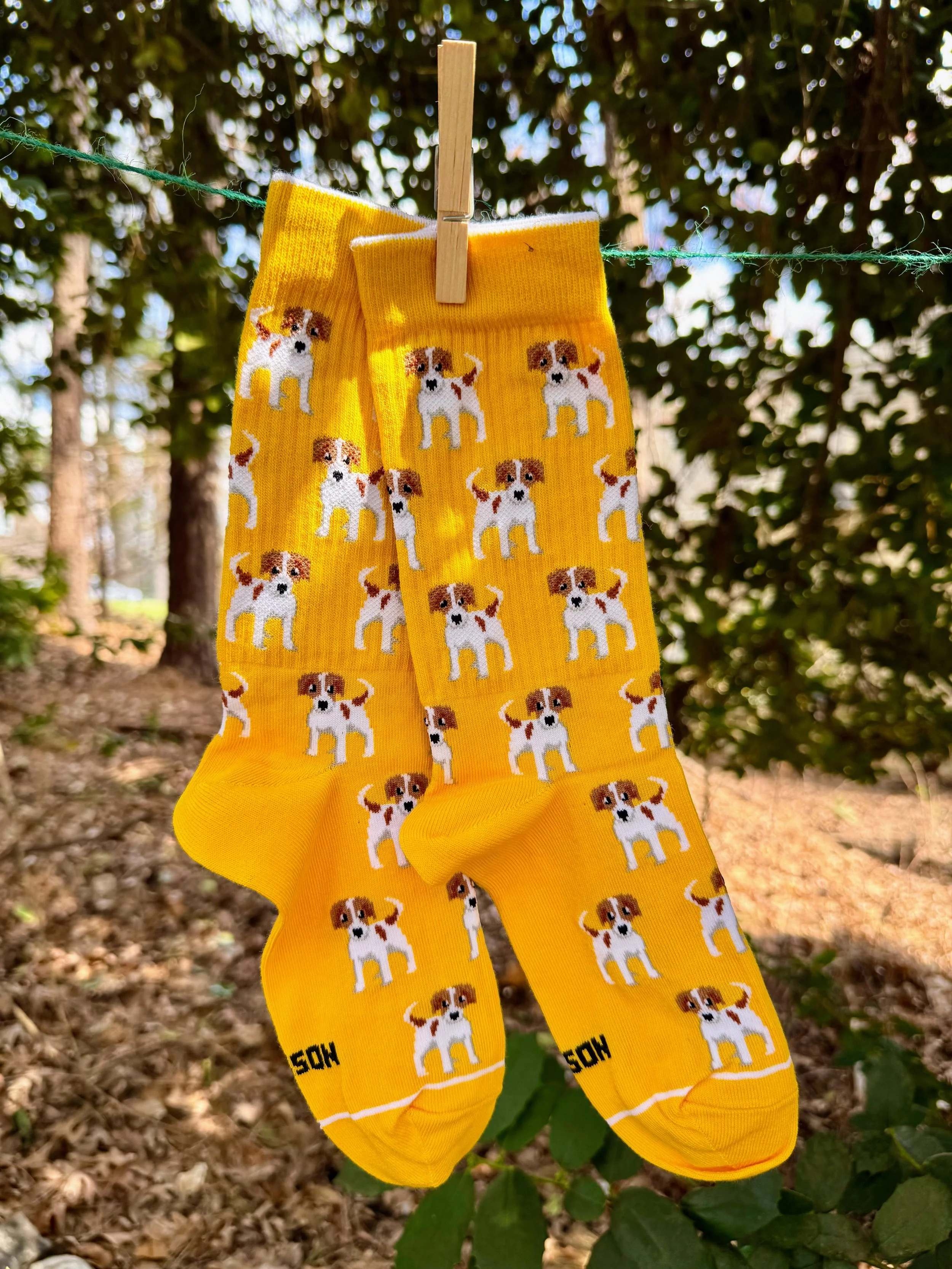 Beagle Socks