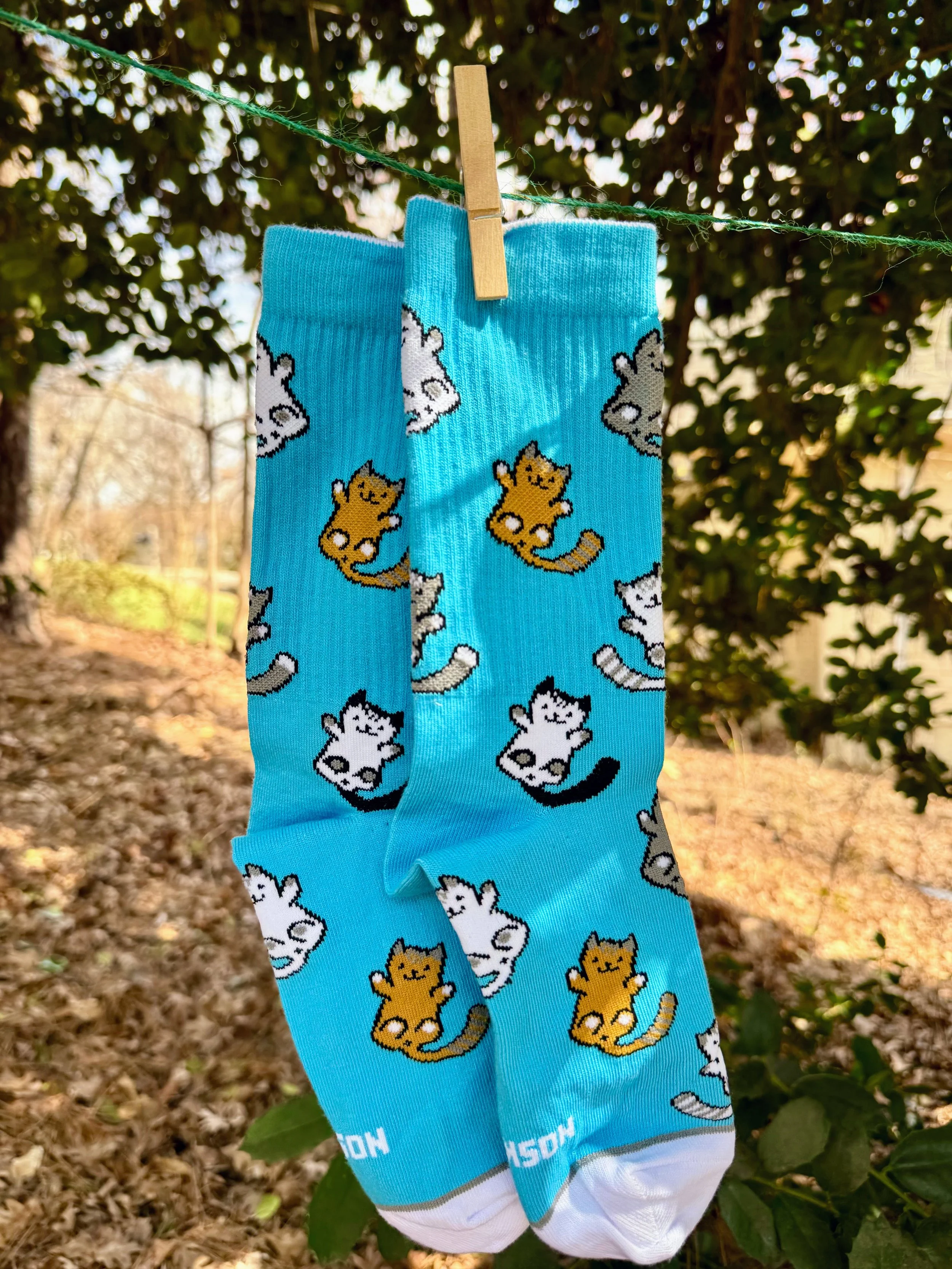 Cats Socks