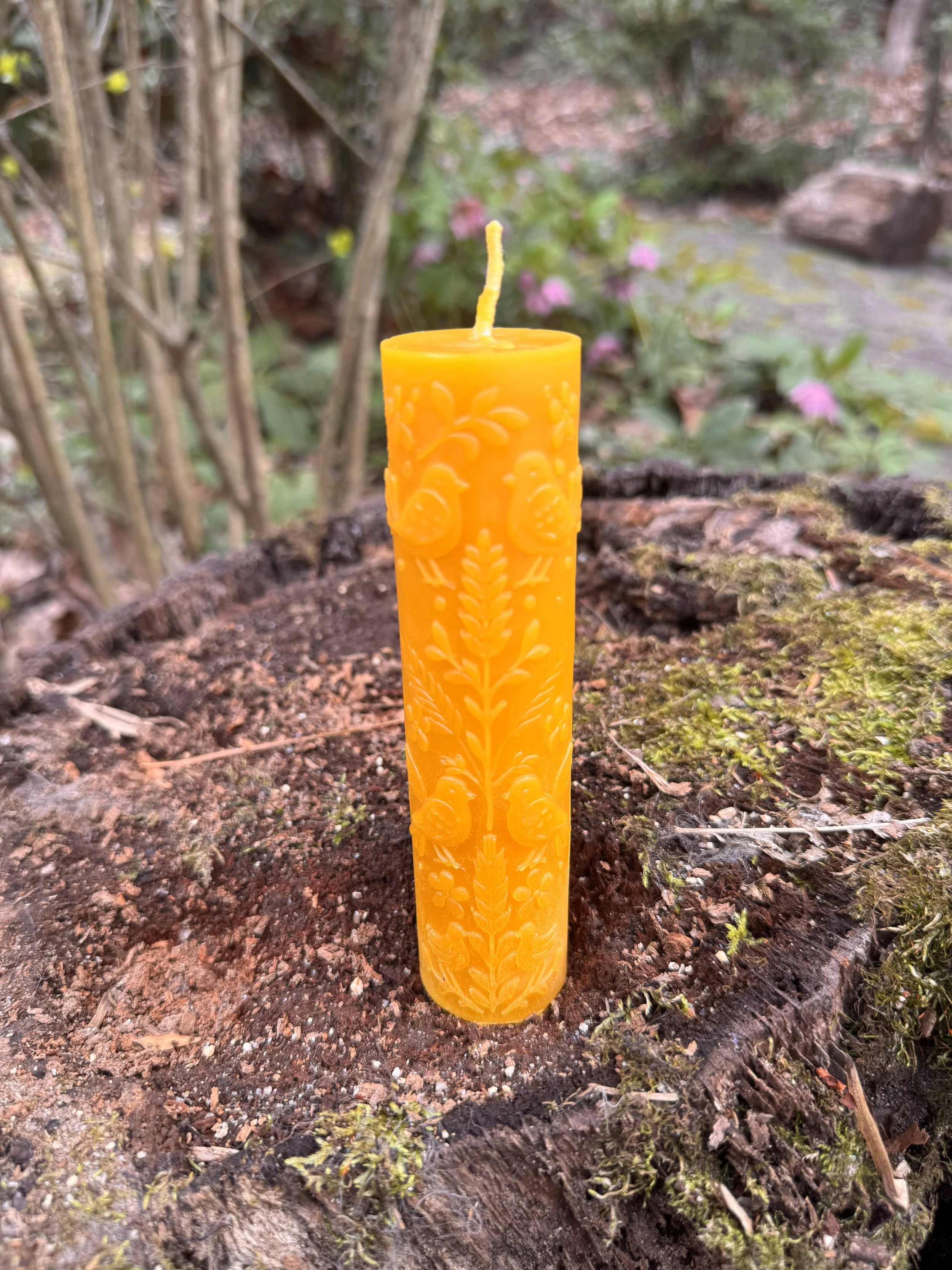 Spring Bird Candle