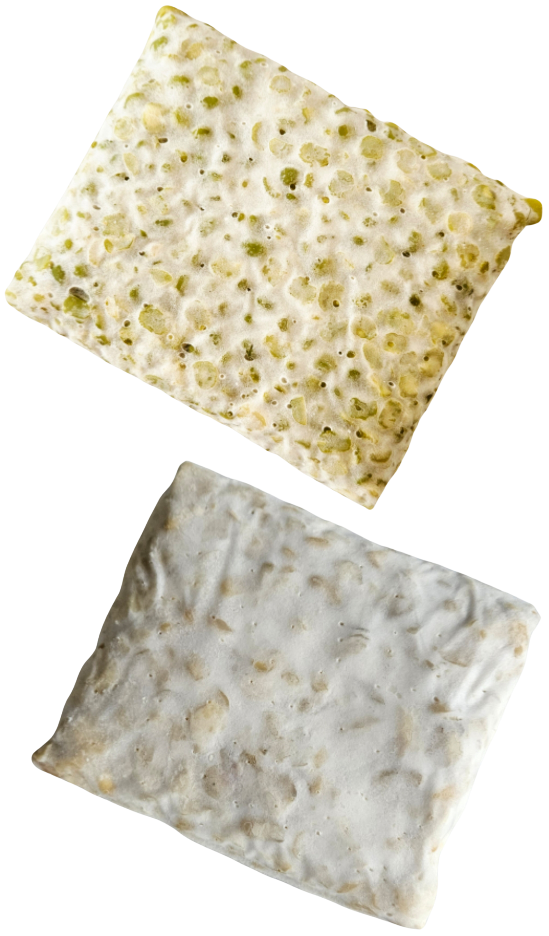 Tempeh di piselli e di fave