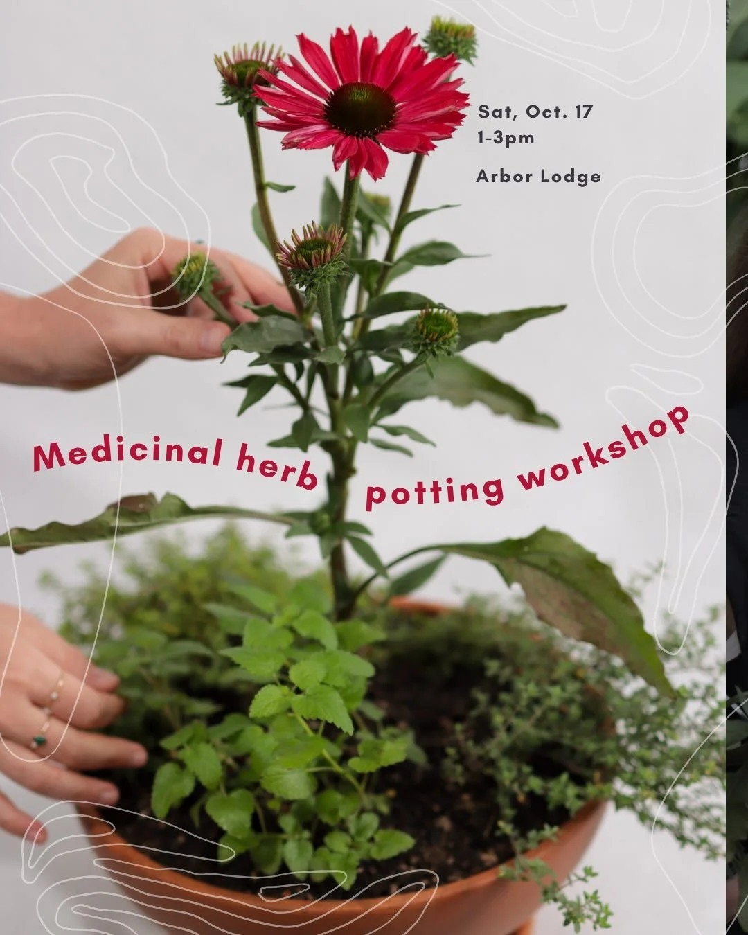 Spend an afternoon tucked away in a cozy backyard garden, creating your very own medicinal herb pot to take home.

Through this intimate, hands-on workshop, you&rsquo;ll pot your own herbs, blend your own tea using dried samples of the same plants, a