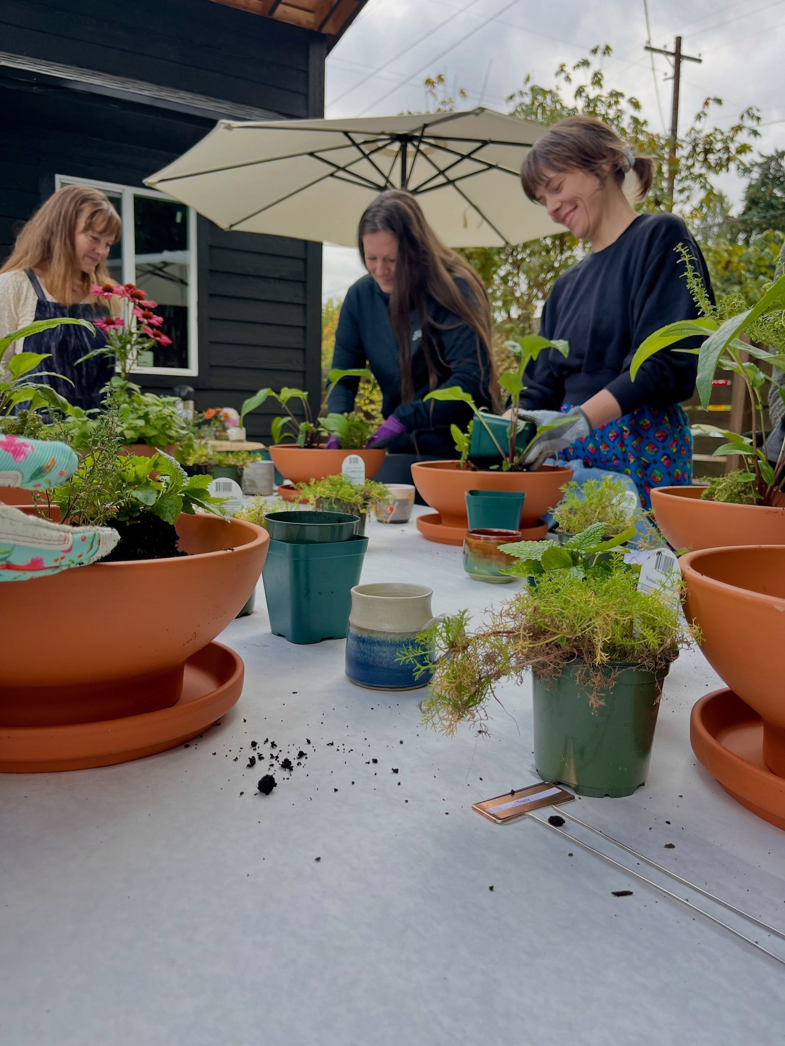 Magical moments from this weekend&rsquo;s Medicinal Herb Potting Workshop! ✨ This was @dr_kate_sydney and my first collab and we couldn&rsquo;t have asked for a more delightful group. The afternoon was filled with fabulous chats over sips of tea and 
