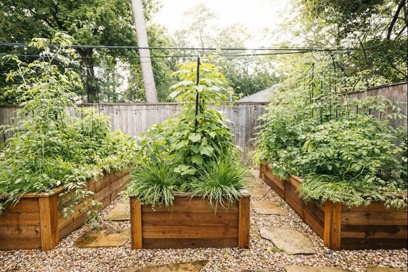 Raised bed oasis.jpeg